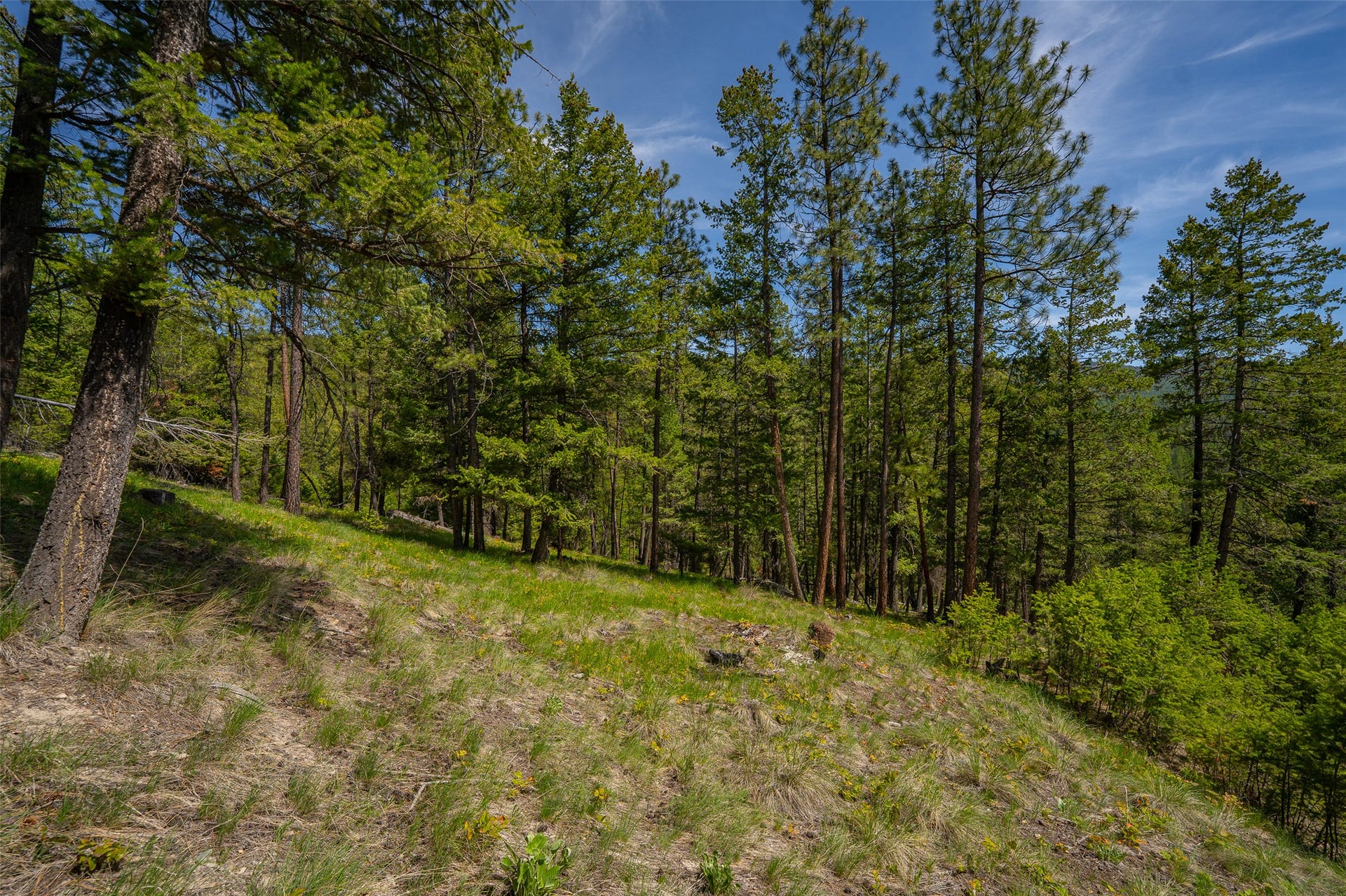 689 Springhill Road, Kila, MT 59920 689 Springhill Road, Kila, MT 59920