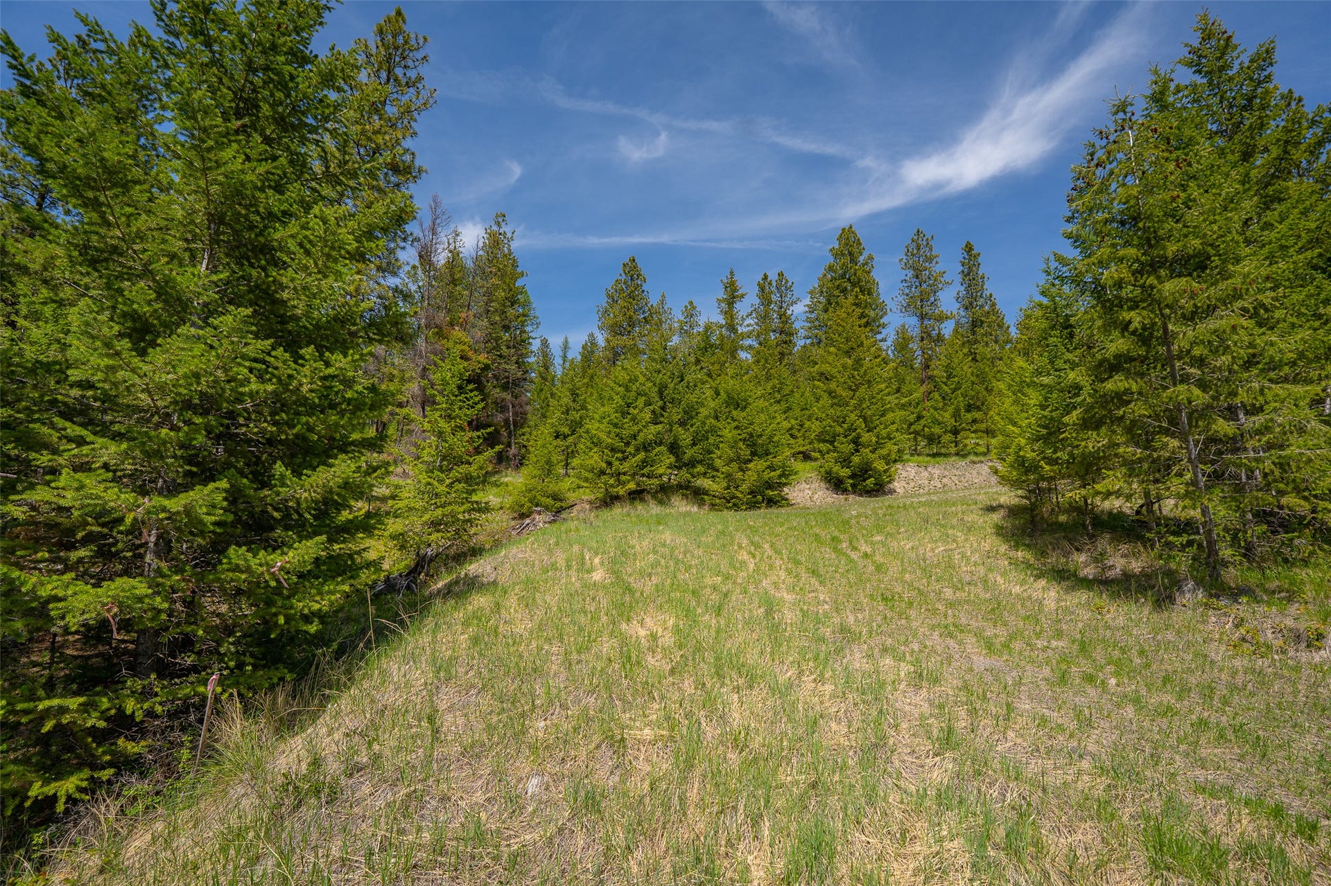 689 Springhill Road, Kila, MT 59920 689 Springhill Road, Kila, MT 59920