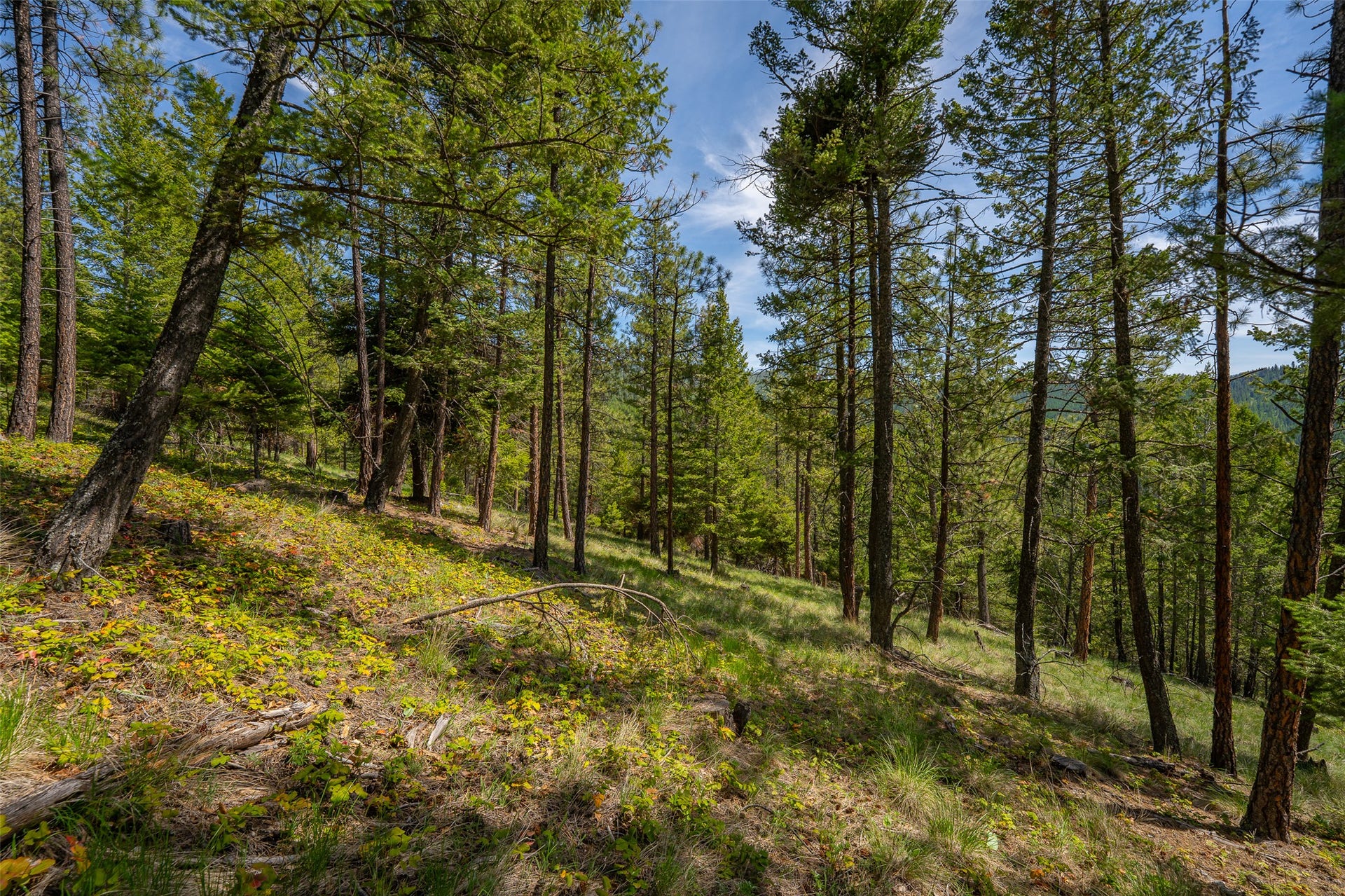 689 Springhill Road, Kila, MT 59920 689 Springhill Road, Kila, MT 59920
