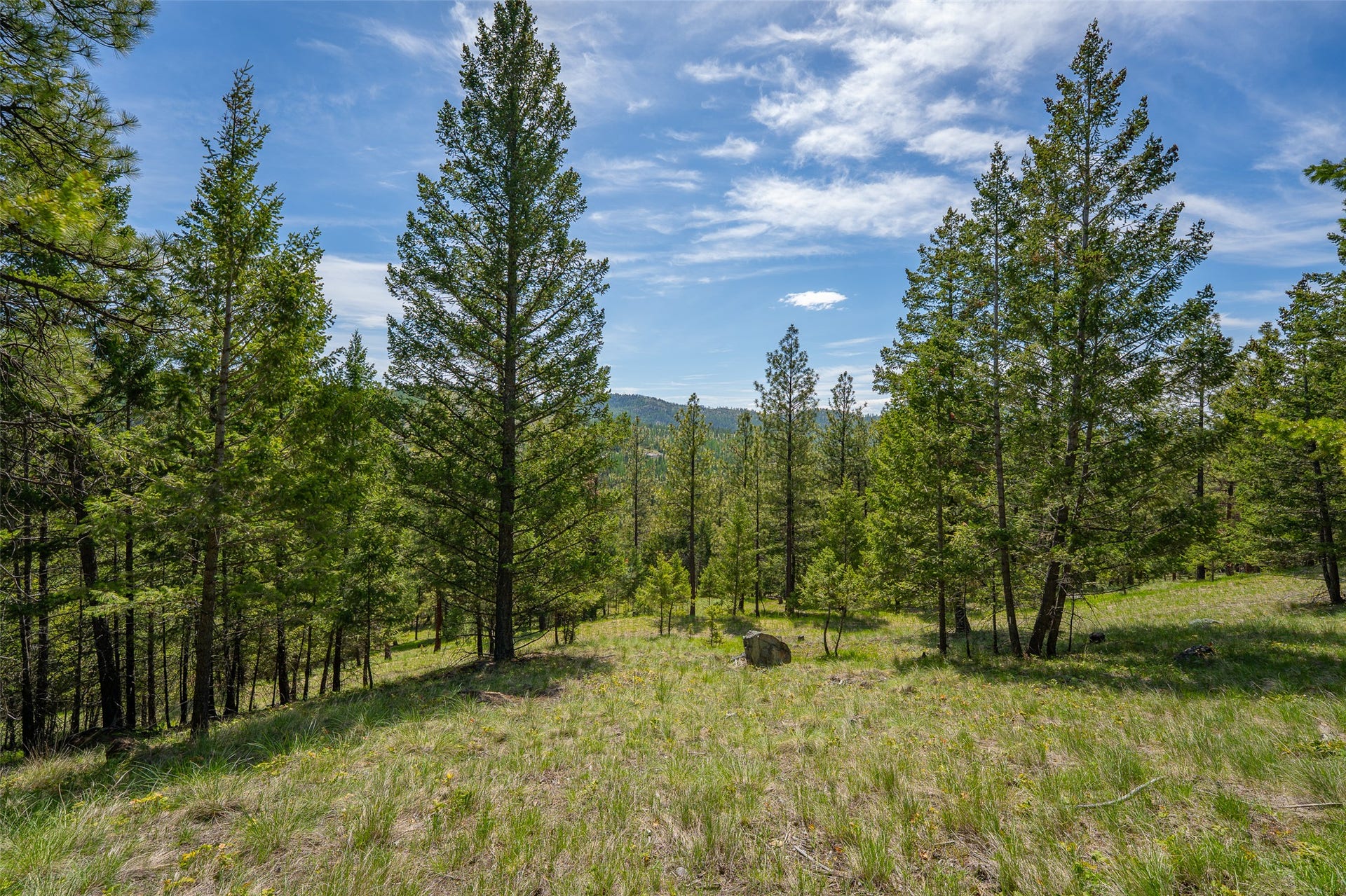 689 Springhill Road, Kila, MT 59920 689 Springhill Road, Kila, MT 59920