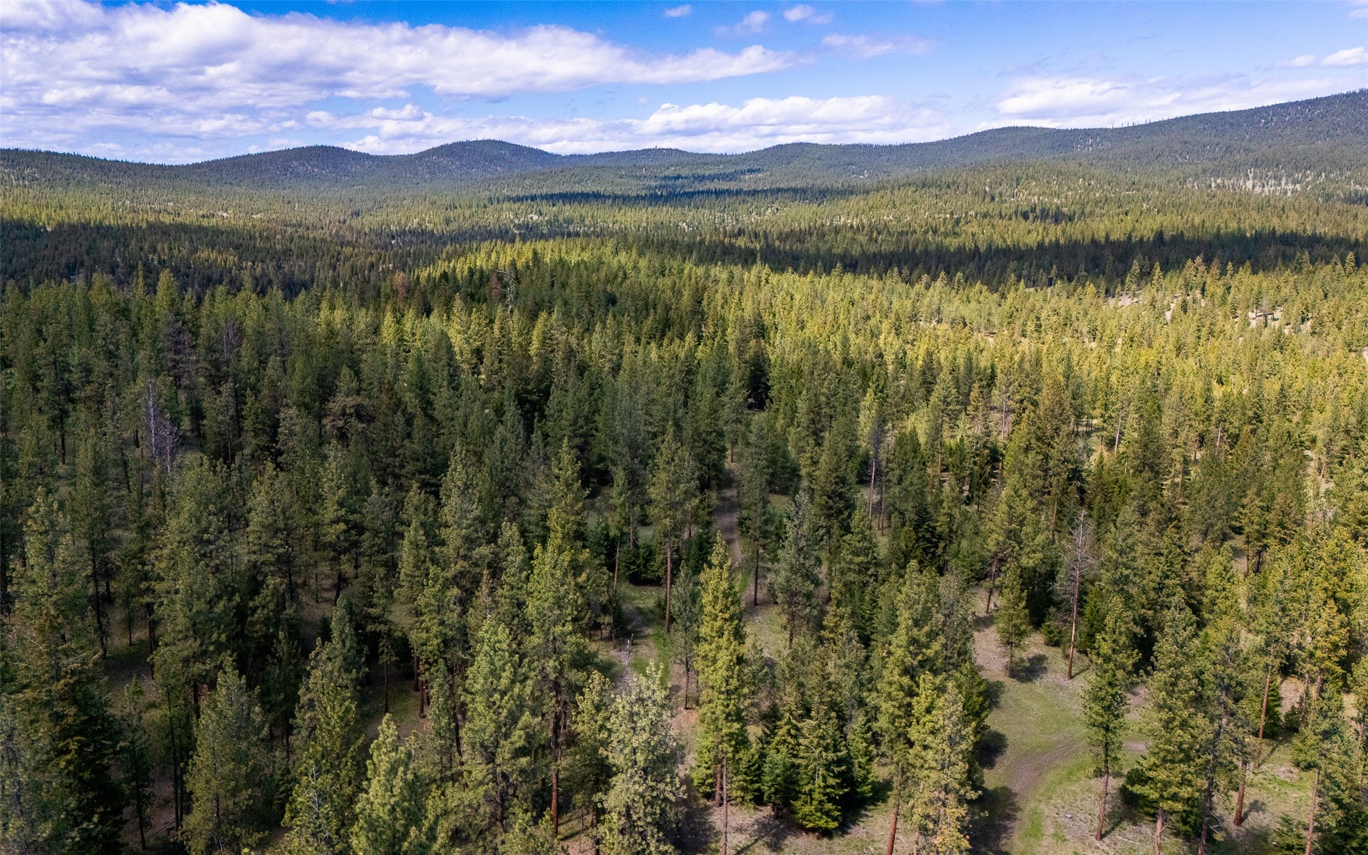 3145, 3185, & 3605 Hubbart Dam Road, Marion, MT 59925
