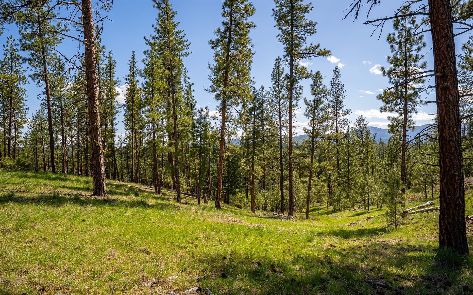 3145, 3185, & 3605 Hubbart Dam Road, Marion, MT 59925