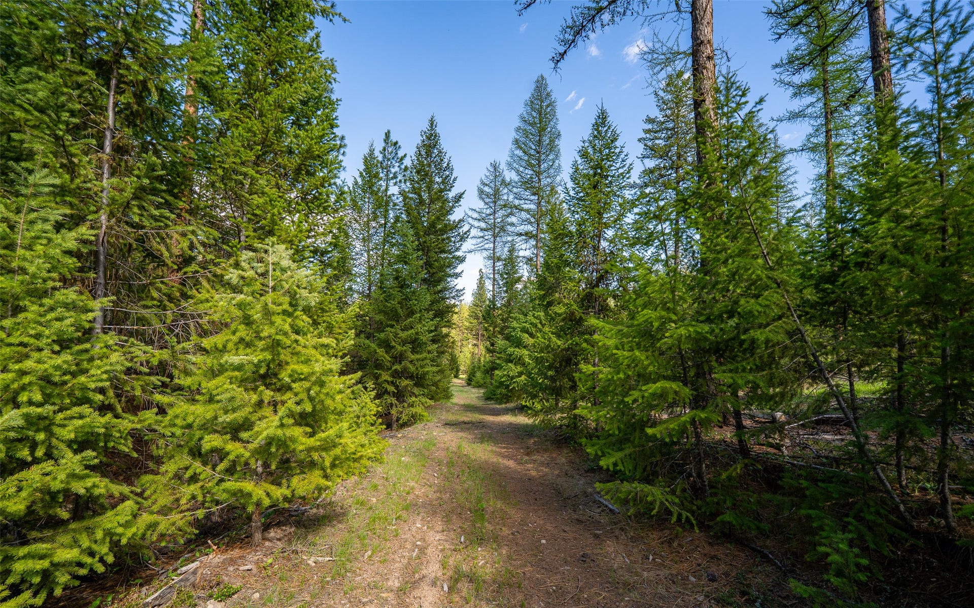 3145, 3185, & 3605 Hubbart Dam Road, Marion, MT 59925