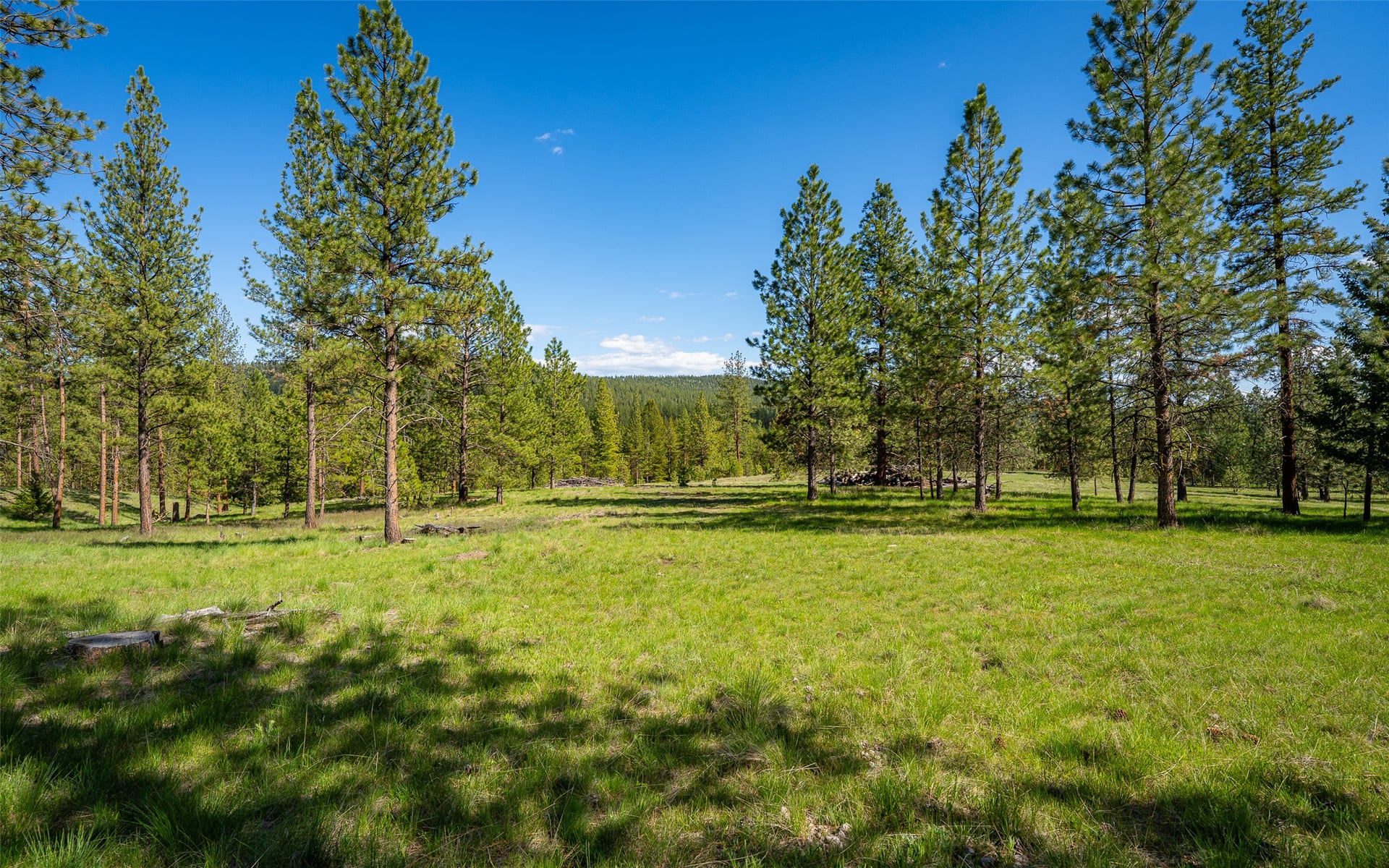 3145, 3185, & 3605 Hubbart Dam Road, Marion, MT 59925