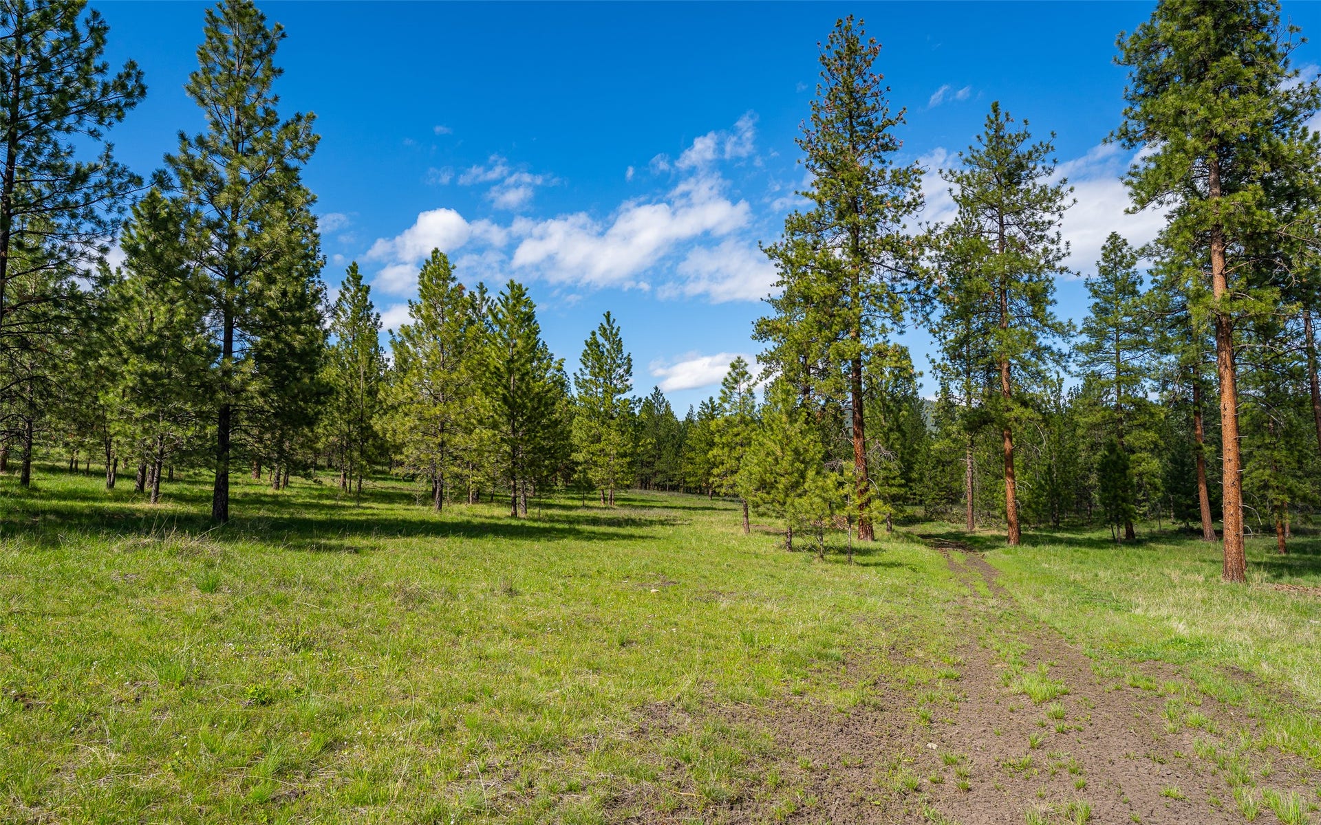 3145, 3185, & 3605 Hubbart Dam Road, Marion, MT 59925