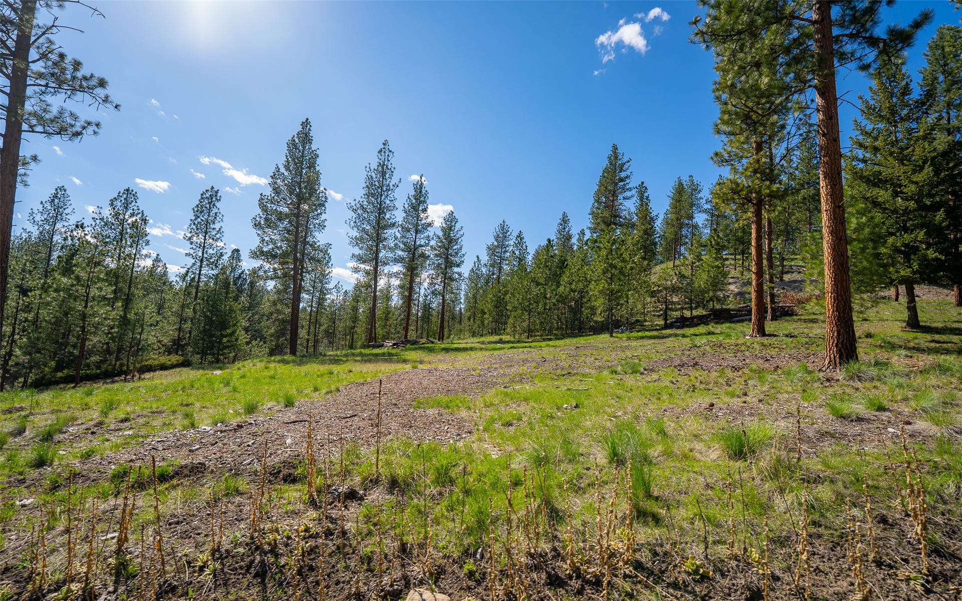 3605 Hubbart Dam Road, Marion, MT 59925 3605 Hubbart Dam Road, Marion, MT 59925