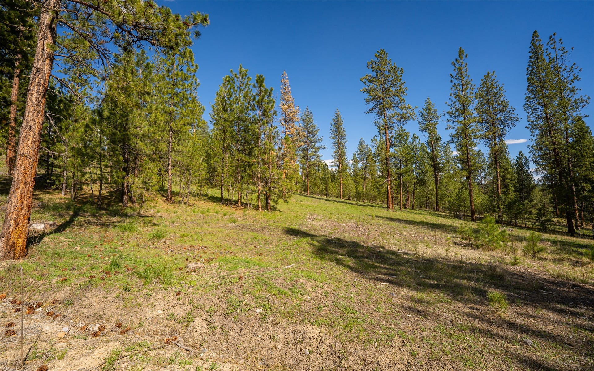 3605 Hubbart Dam Road, Marion, MT 59925 3605 Hubbart Dam Road, Marion, MT 59925