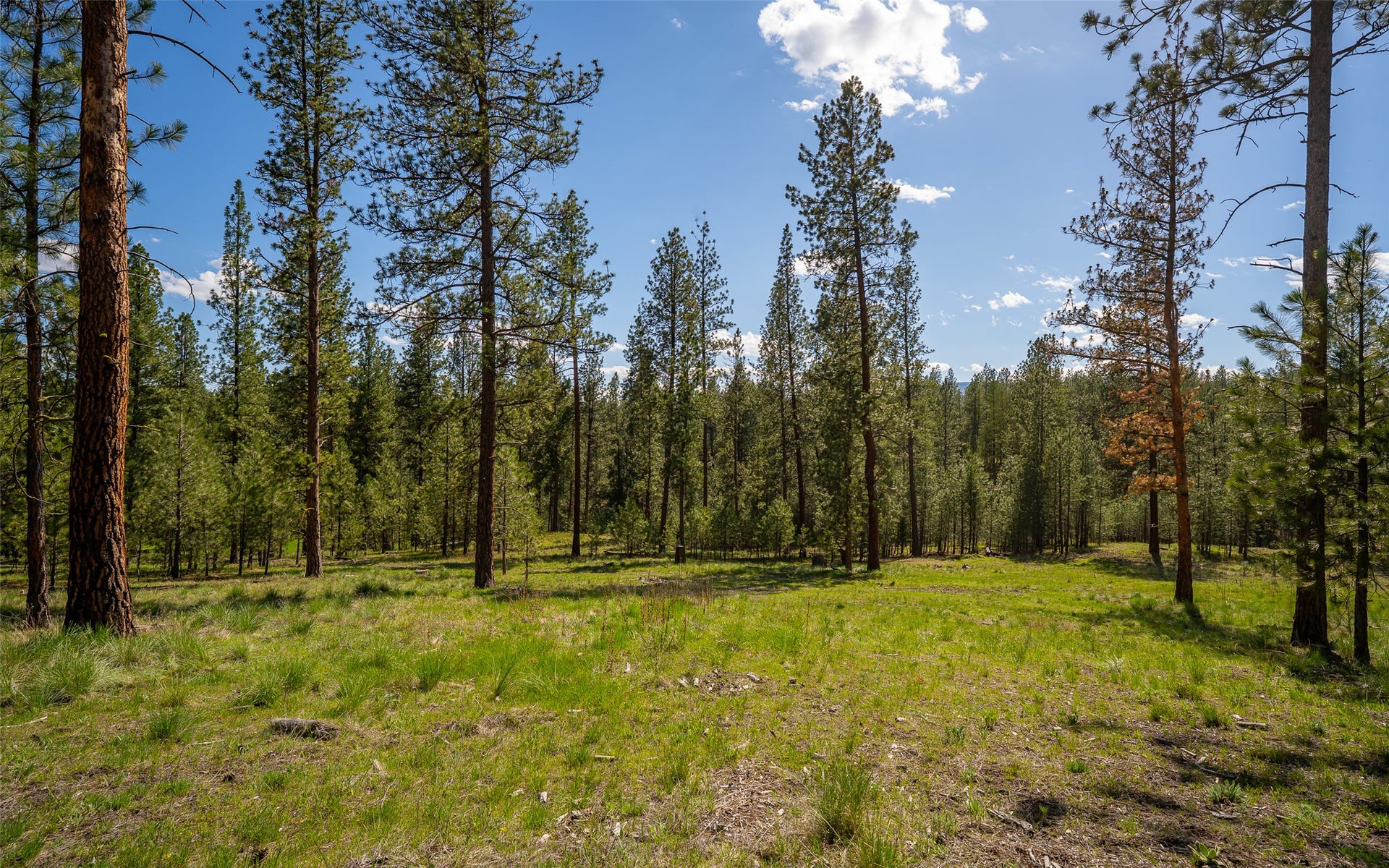 3605 Hubbart Dam Road, Marion, MT 59925 3605 Hubbart Dam Road, Marion, MT 59925
