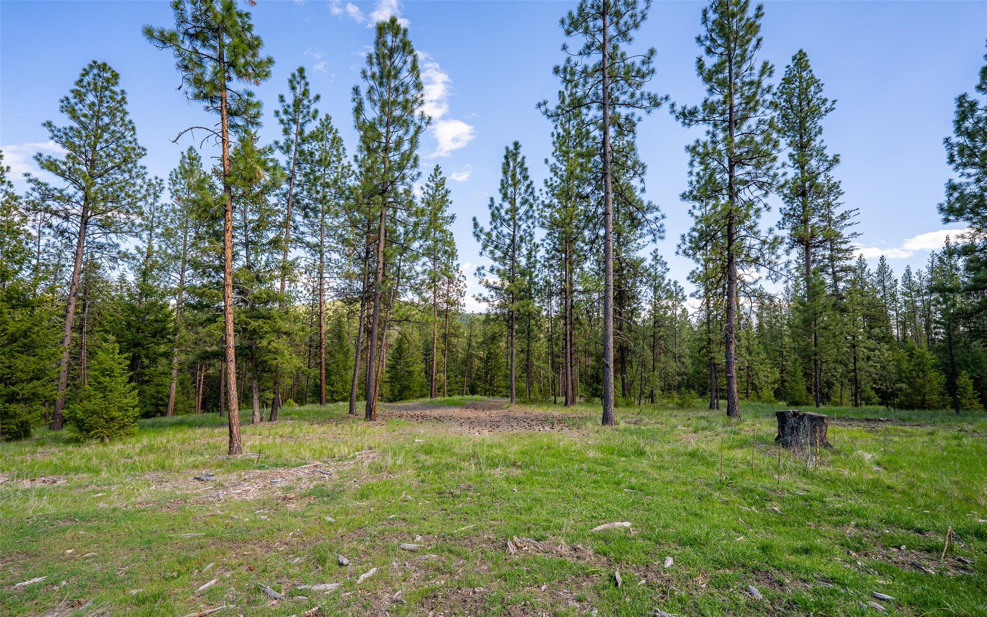 3605 Hubbart Dam Road, Marion, MT 59925 3605 Hubbart Dam Road, Marion, MT 59925