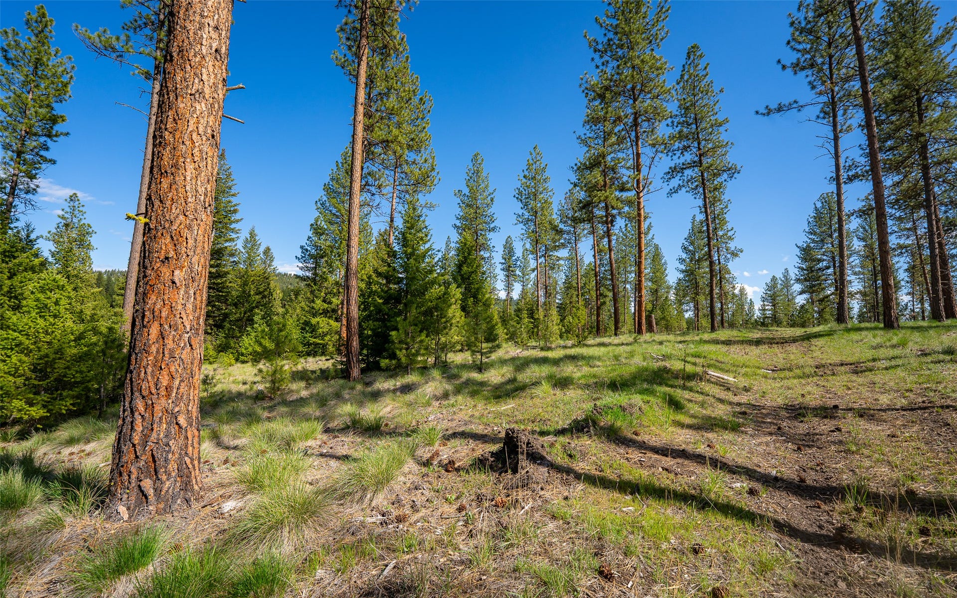 3605 Hubbart Dam Road, Marion, MT 59925 3605 Hubbart Dam Road, Marion, MT 59925