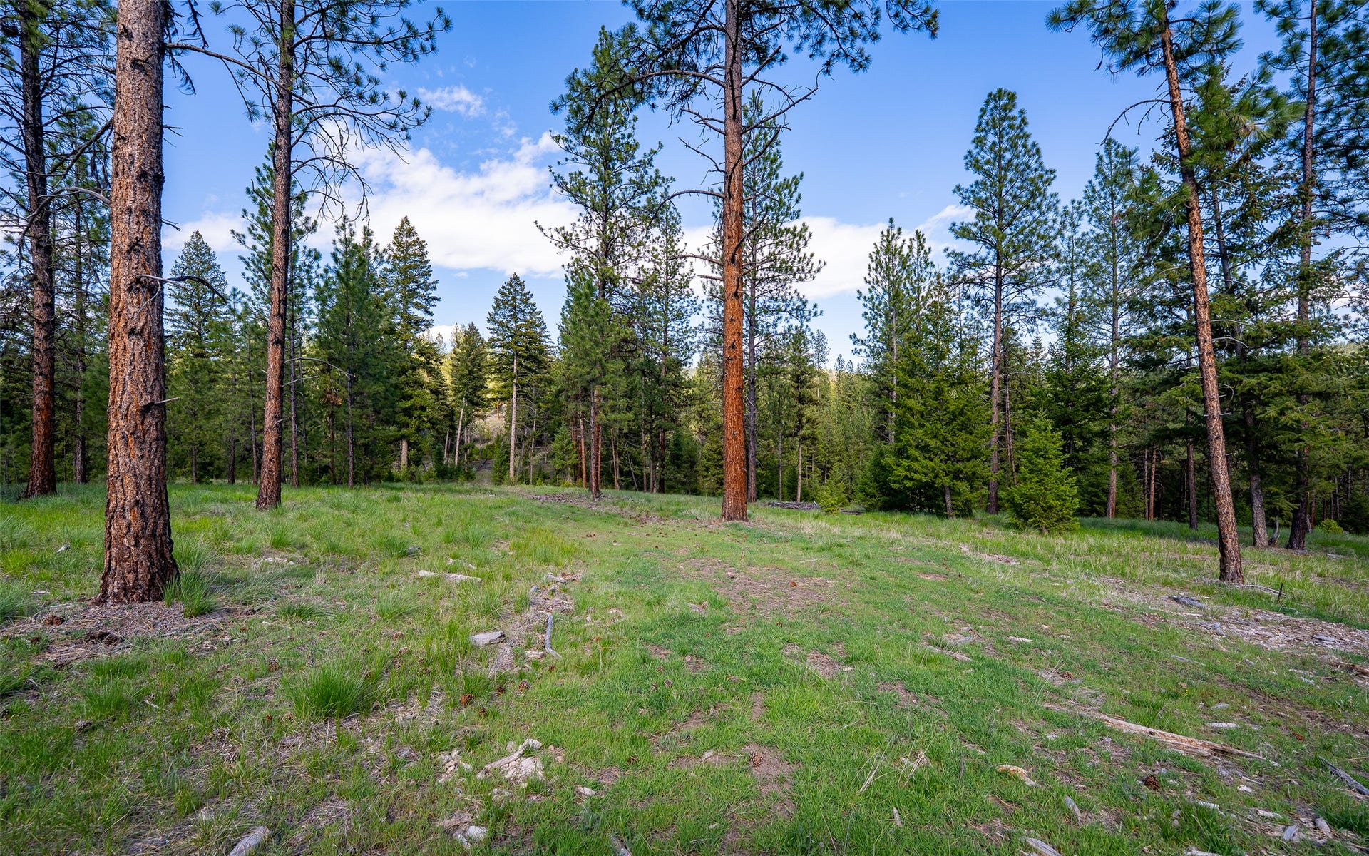 3605 Hubbart Dam Road, Marion, MT 59925 3605 Hubbart Dam Road, Marion, MT 59925