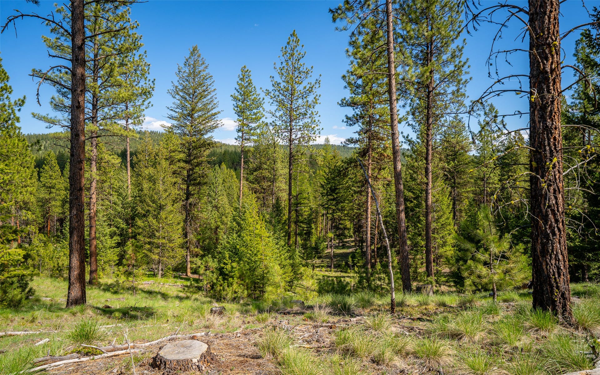 3605 Hubbart Dam Road, Marion, MT 59925 3605 Hubbart Dam Road, Marion, MT 59925