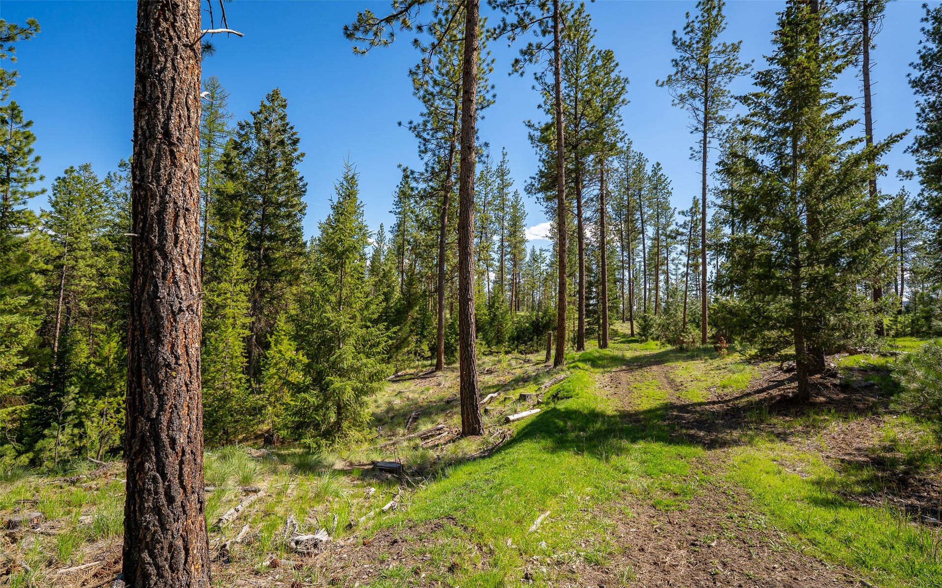 3605 Hubbart Dam Road, Marion, MT 59925 3605 Hubbart Dam Road, Marion, MT 59925