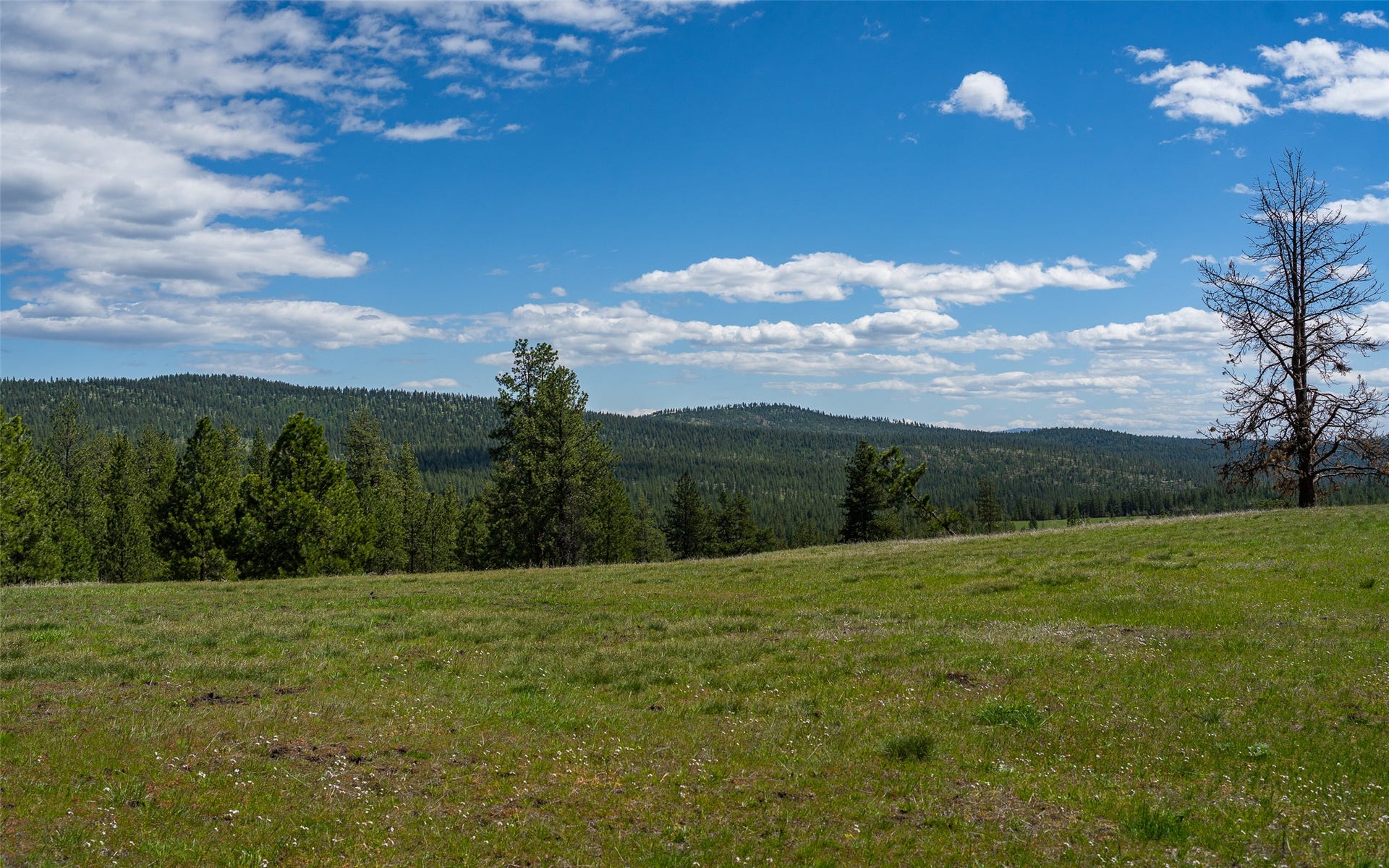 3145 Hubbart Dam Road, Marion, MT 59925 3145 Hubbart Dam Road, Marion, MT 59925