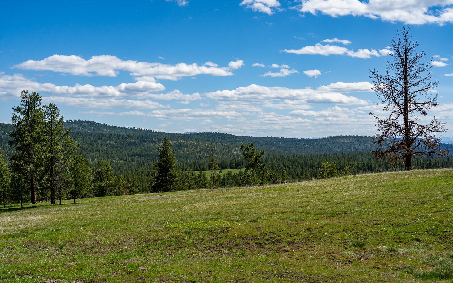 3145 Hubbart Dam Road, Marion, MT 59925 3145 Hubbart Dam Road, Marion, MT 59925