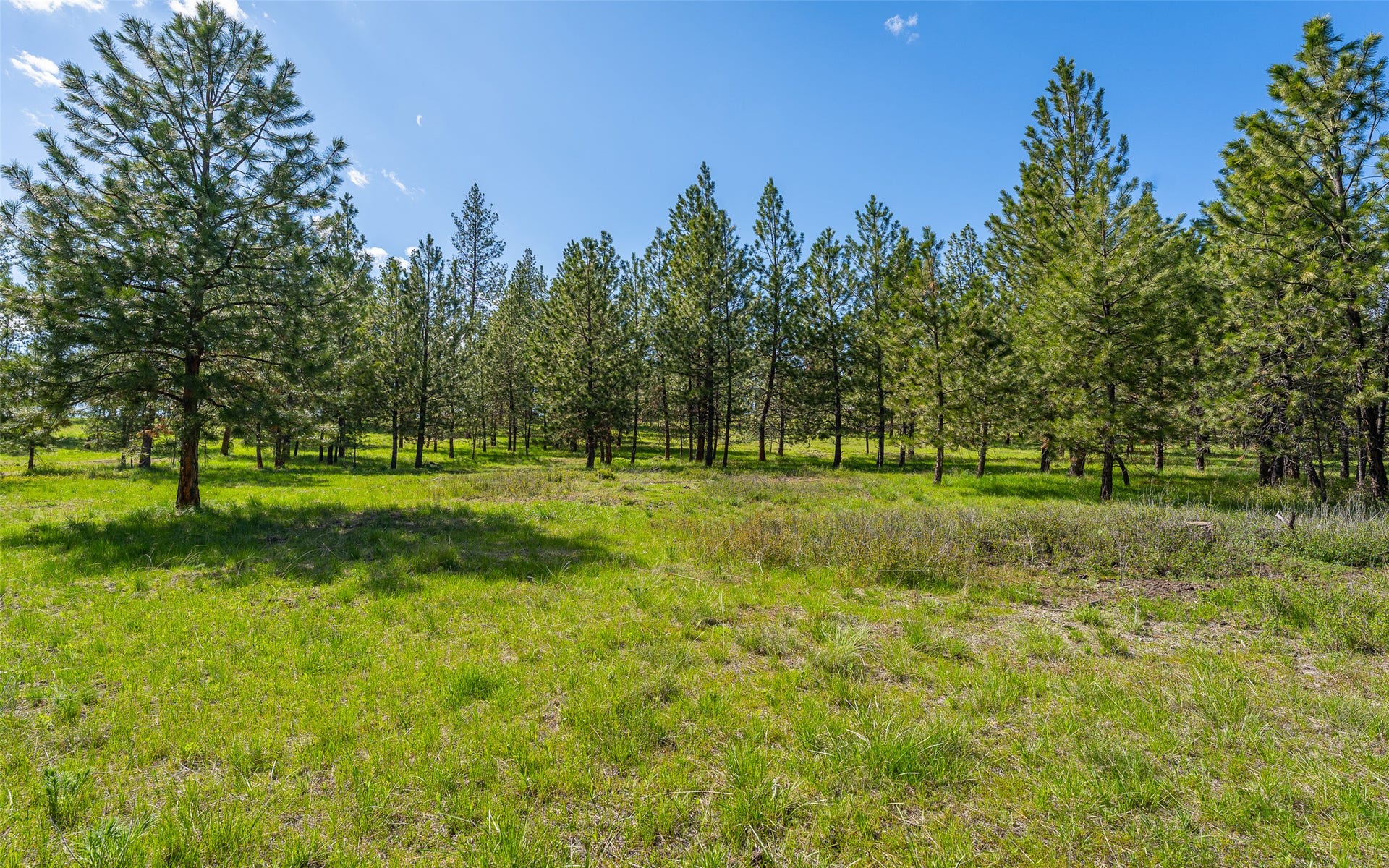 3145 Hubbart Dam Road, Marion, MT 59925 3145 Hubbart Dam Road, Marion, MT 59925