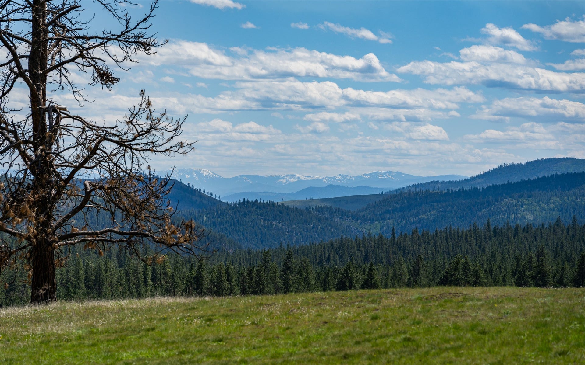 3145 Hubbart Dam Road, Marion, MT 59925 3145 Hubbart Dam Road, Marion, MT 59925