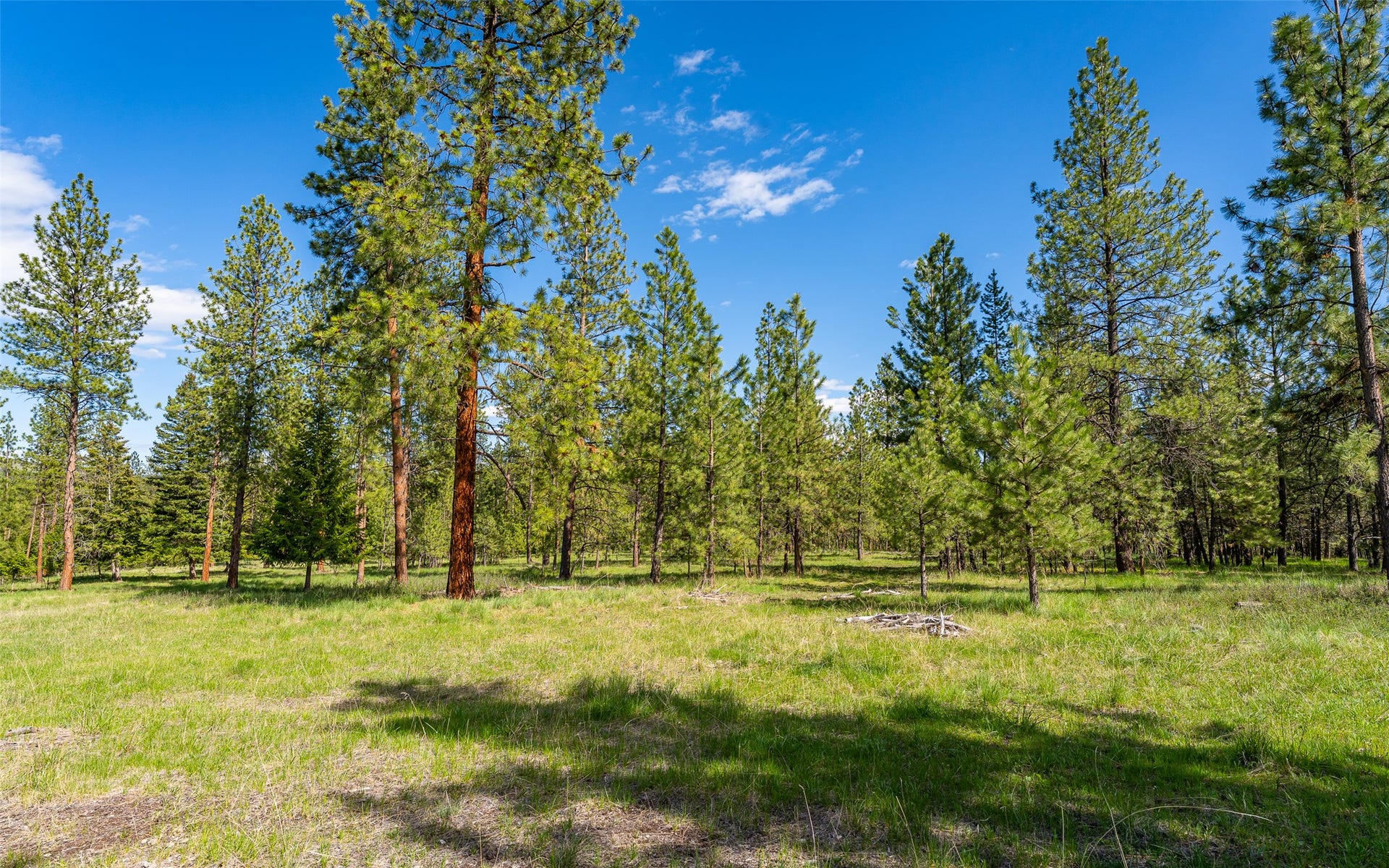 3145 Hubbart Dam Road, Marion, MT 59925 3145 Hubbart Dam Road, Marion, MT 59925