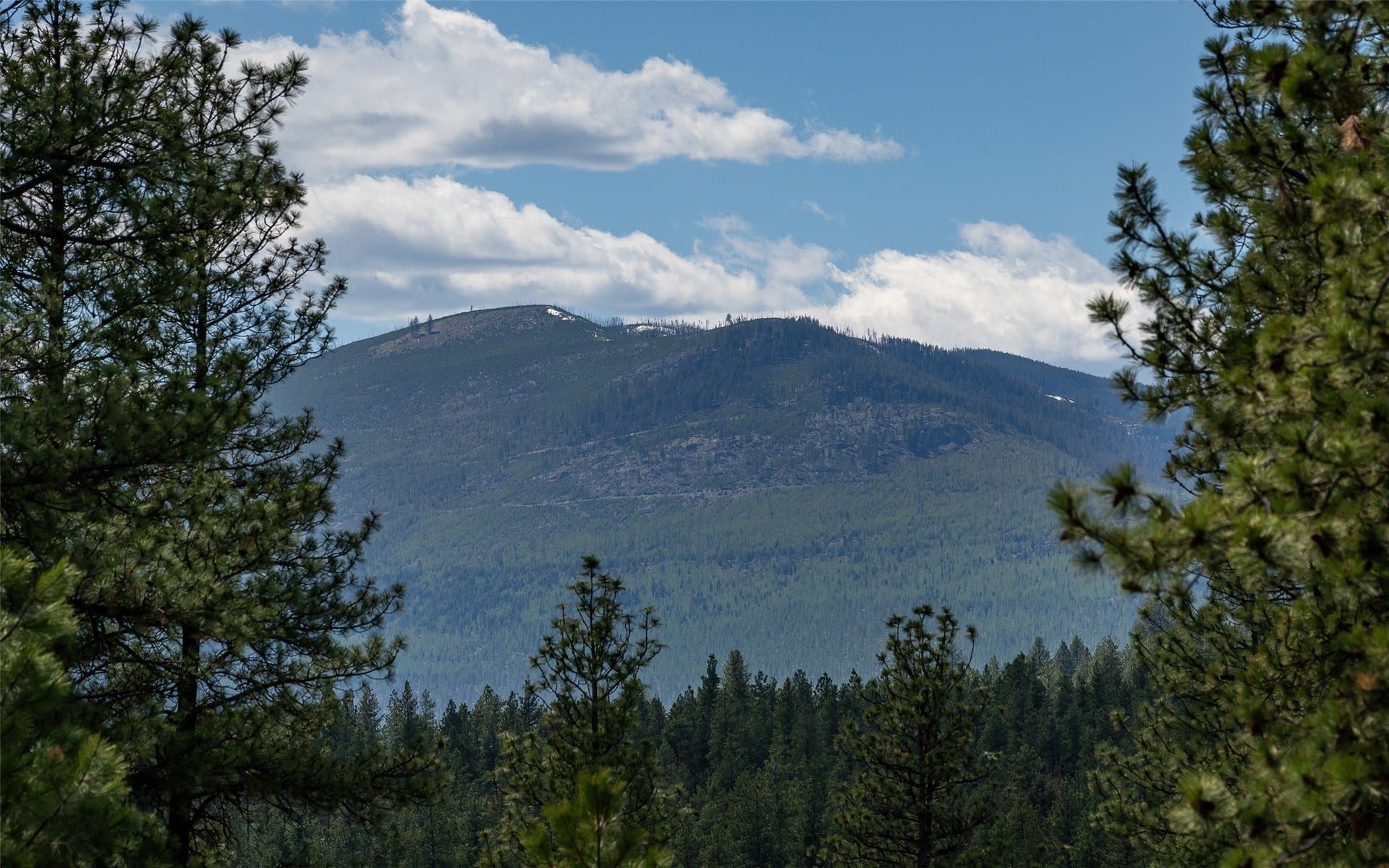 3145 Hubbart Dam Road, Marion, MT 59925 3145 Hubbart Dam Road, Marion, MT 59925
