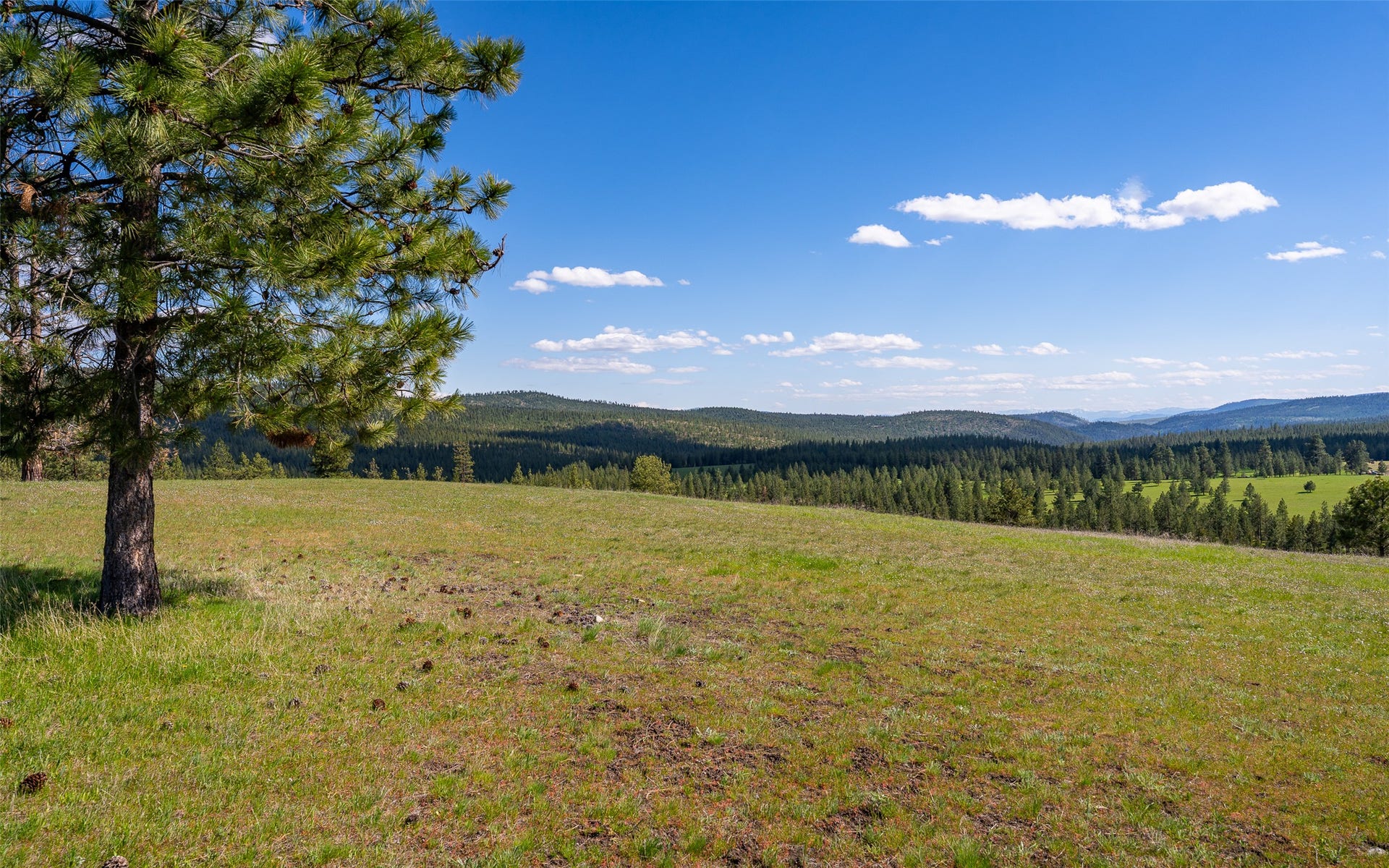 3145 Hubbart Dam Road, Marion, MT 59925 3145 Hubbart Dam Road, Marion, MT 59925