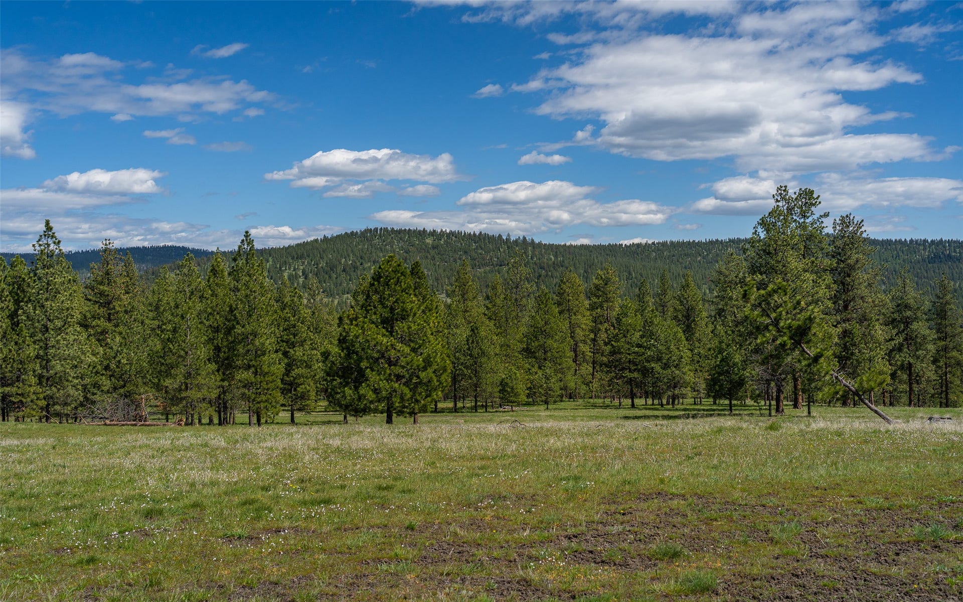 3145 Hubbart Dam Road, Marion, MT 59925 3145 Hubbart Dam Road, Marion, MT 59925
