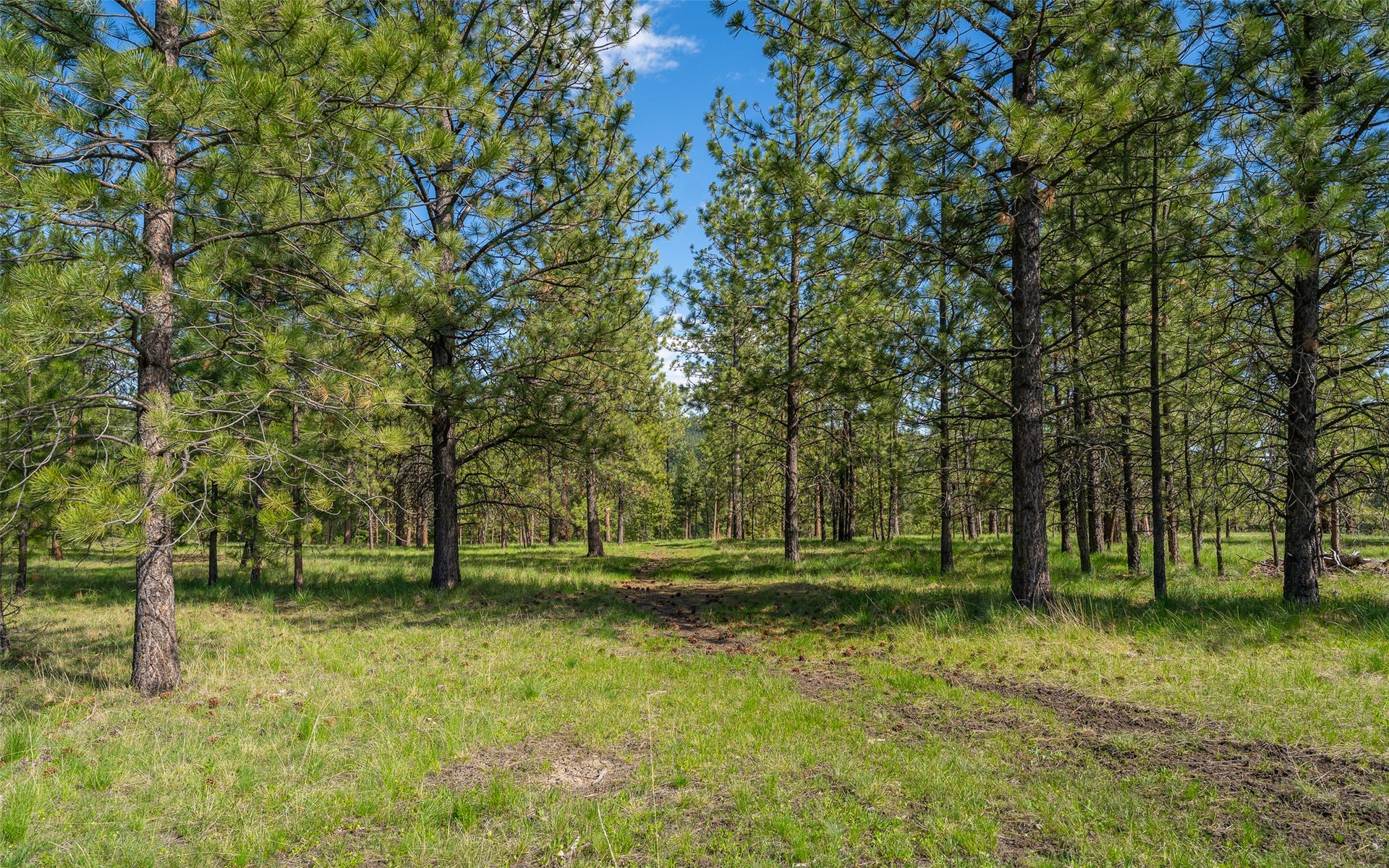 3145 Hubbart Dam Road, Marion, MT 59925 3145 Hubbart Dam Road, Marion, MT 59925