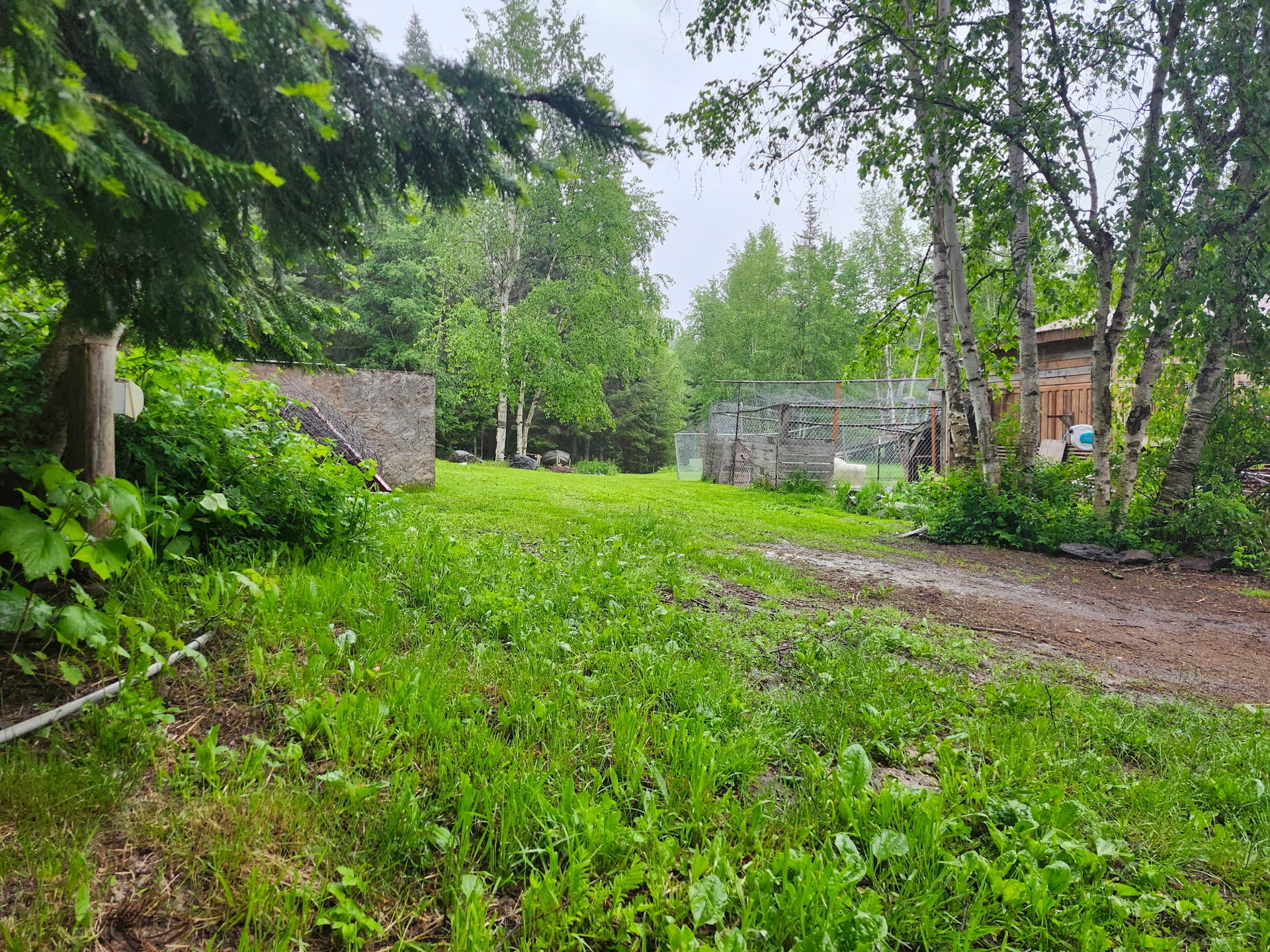 13376 Bug Creek Road, Bigfork, MT 59911 13376 Bug Creek Road, Bigfork, MT 59911