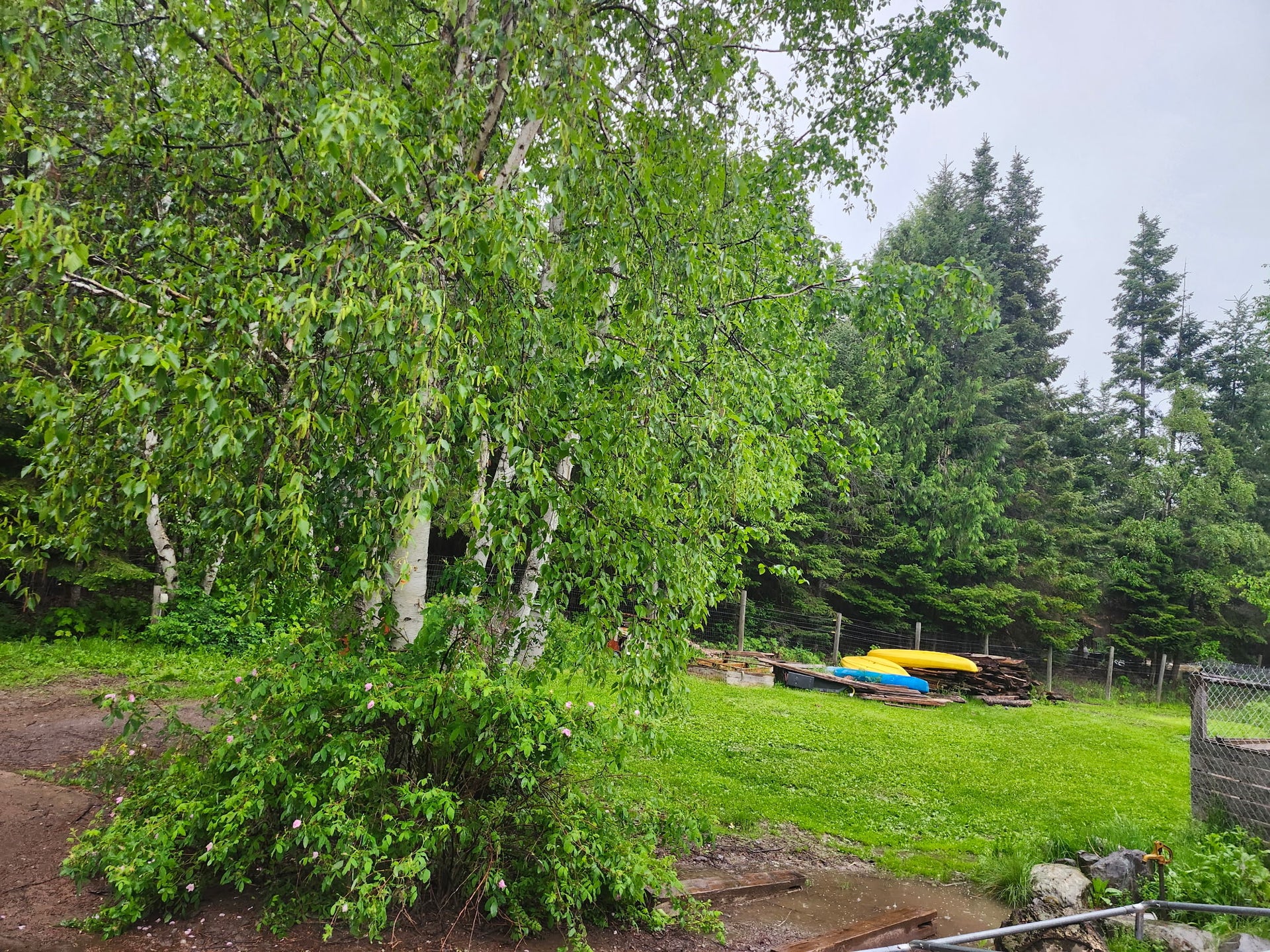 13376 Bug Creek Road, Bigfork, MT 59911 13376 Bug Creek Road, Bigfork, MT 59911