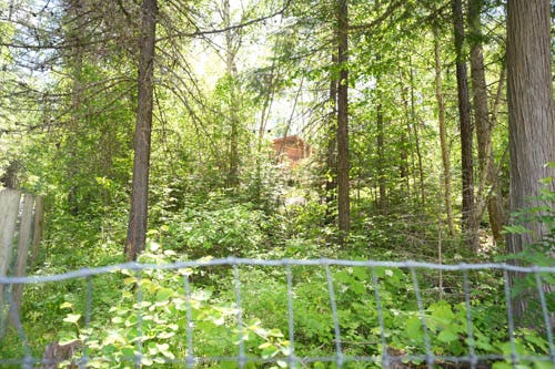 13376 Bug Creek Road, Bigfork, MT 59911 13376 Bug Creek Road, Bigfork, MT 59911