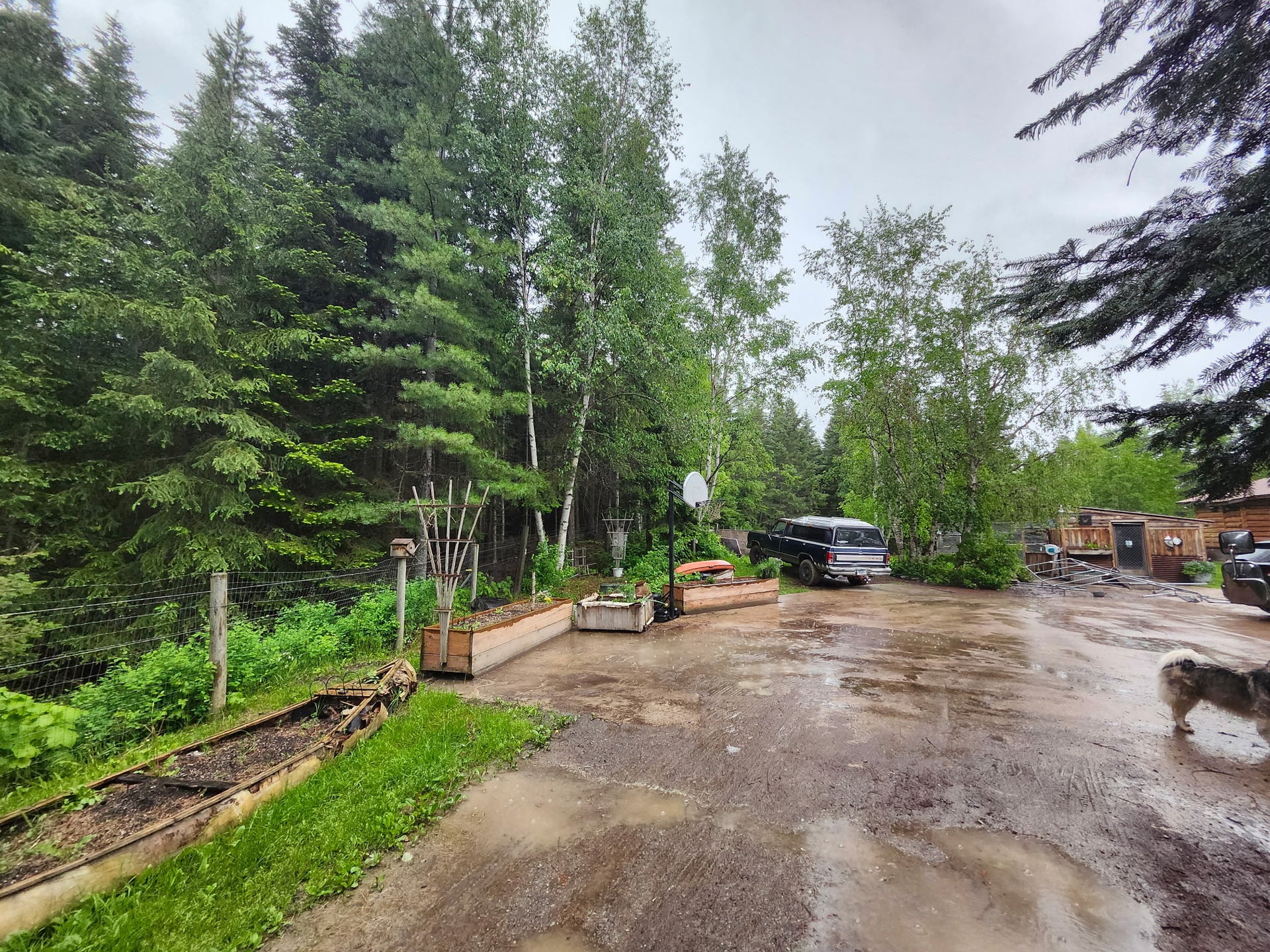 13376 Bug Creek Road, Bigfork, MT 59911 13376 Bug Creek Road, Bigfork, MT 59911
