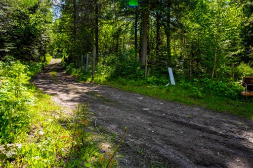13376 Bug Creek Road, Bigfork, MT 59911 13376 Bug Creek Road, Bigfork, MT 59911