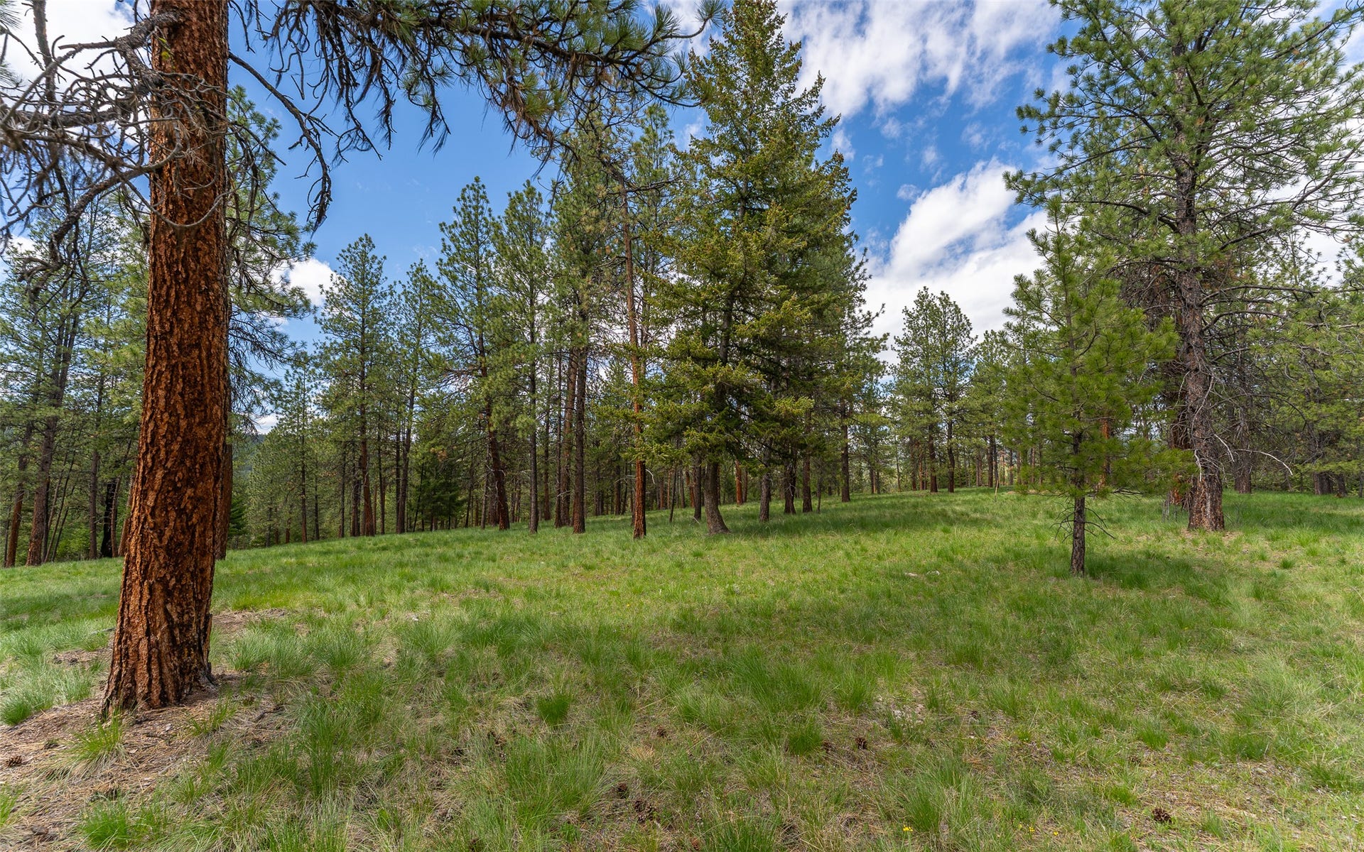 3185 Hubbart Dam Road, Marion, MT 59925 3185 Hubbart Dam Road, Marion, MT 59925