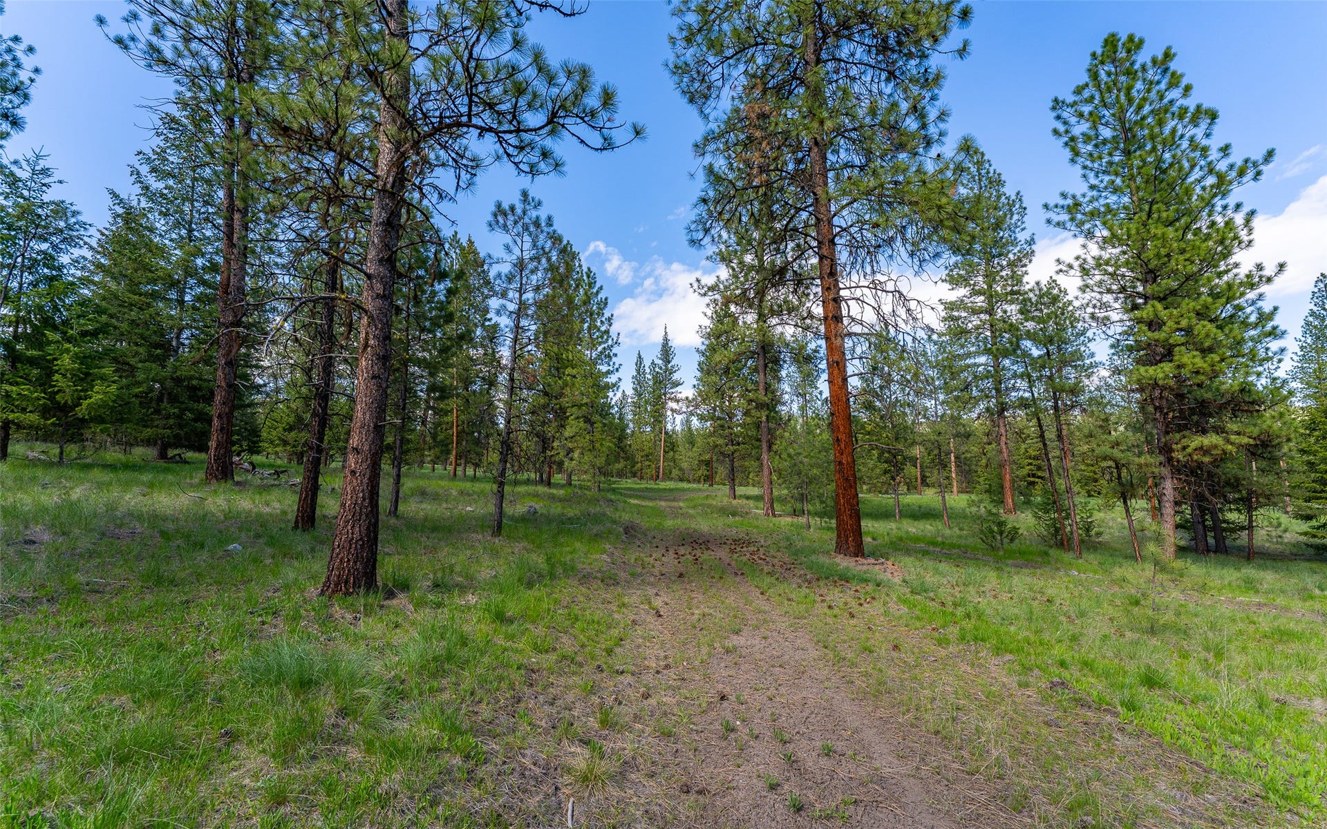 3185 Hubbart Dam Road, Marion, MT 59925 3185 Hubbart Dam Road, Marion, MT 59925