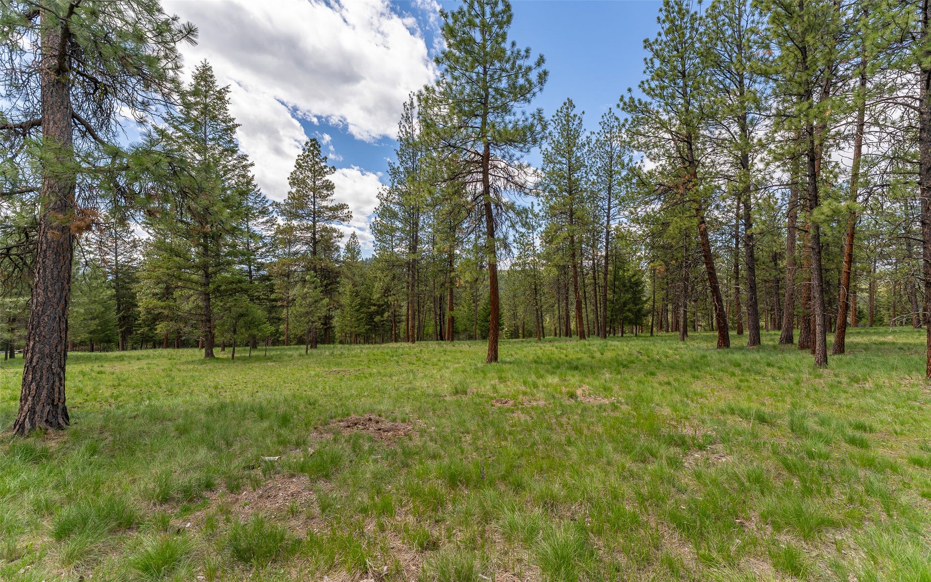 3185 Hubbart Dam Road, Marion, MT 59925 3185 Hubbart Dam Road, Marion, MT 59925