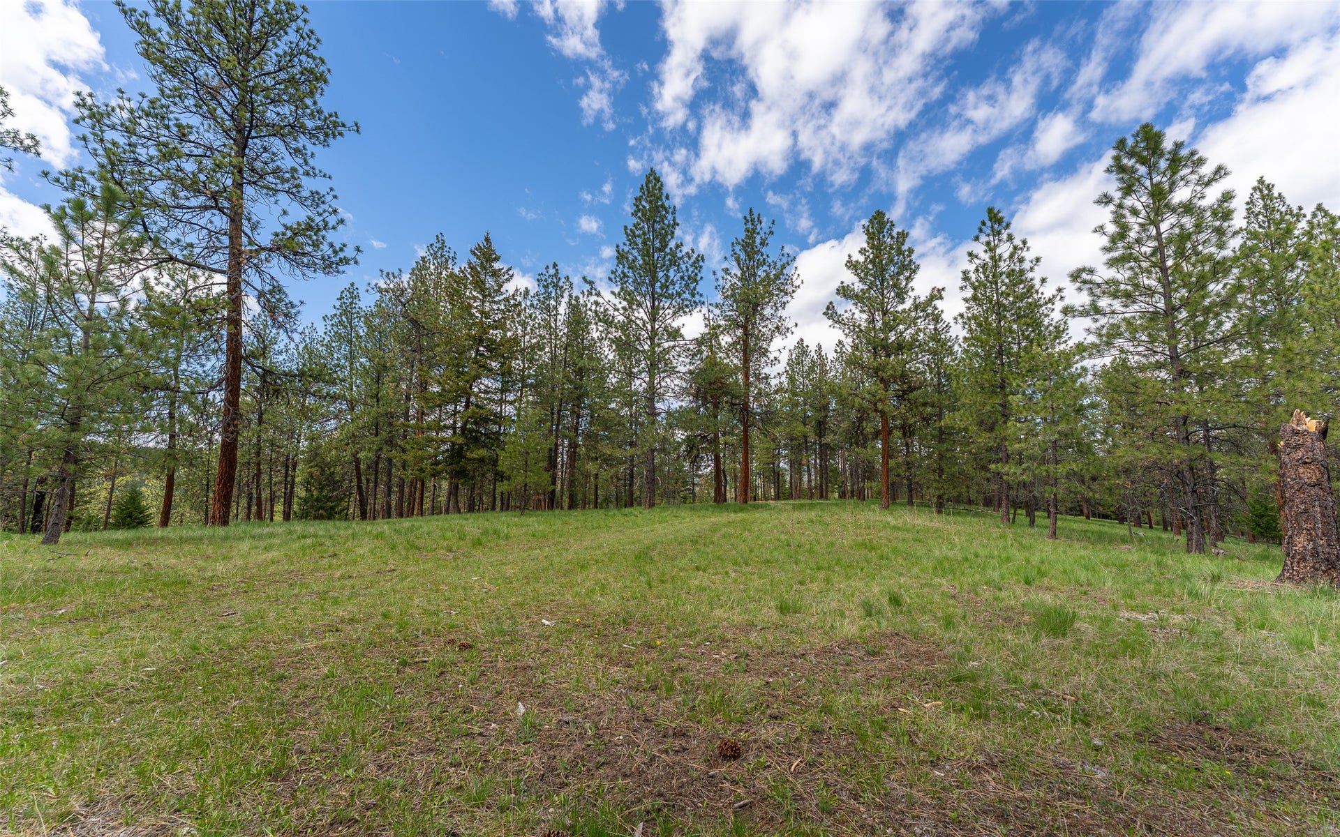 3185 Hubbart Dam Road, Marion, MT 59925 3185 Hubbart Dam Road, Marion, MT 59925