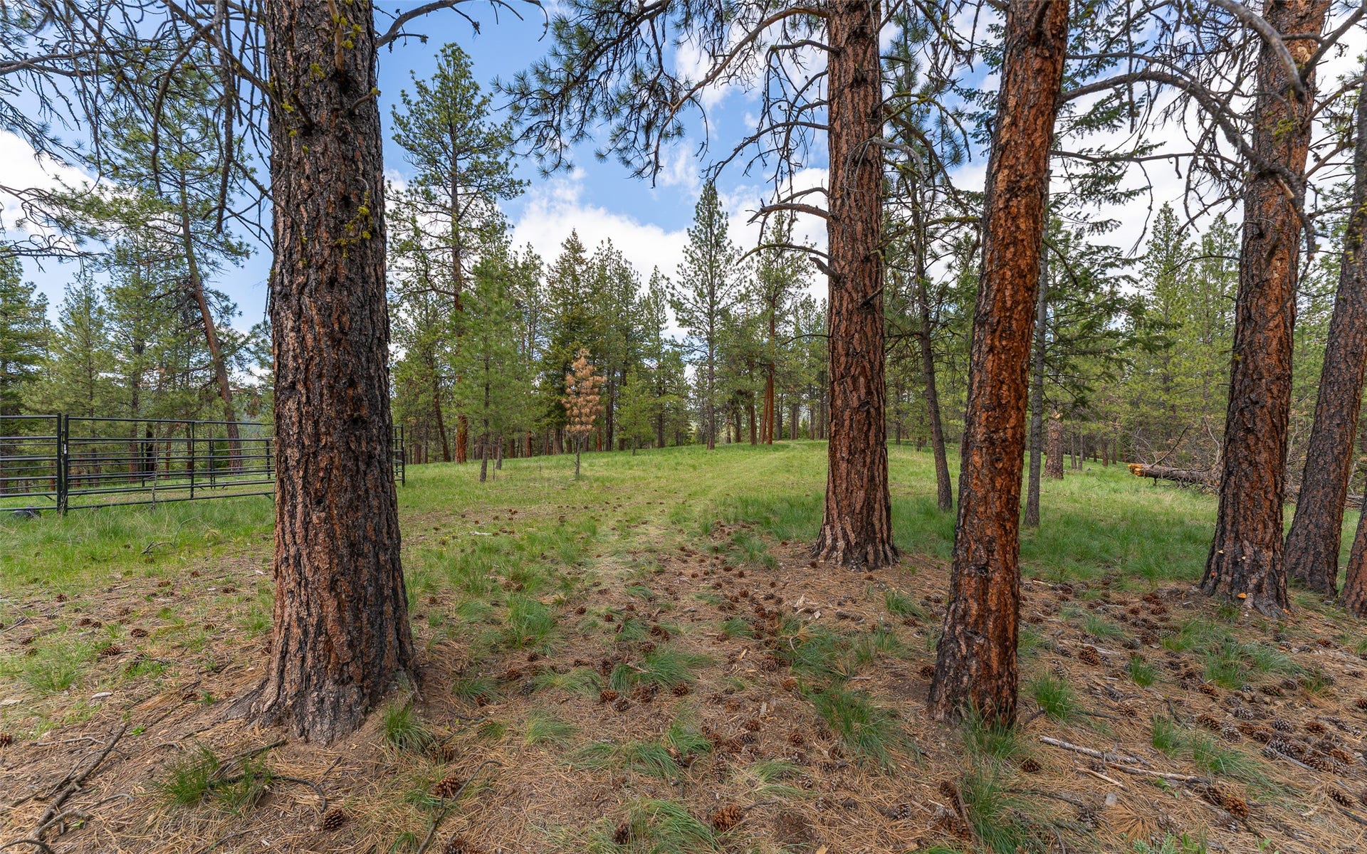 3185 Hubbart Dam Road, Marion, MT 59925 3185 Hubbart Dam Road, Marion, MT 59925