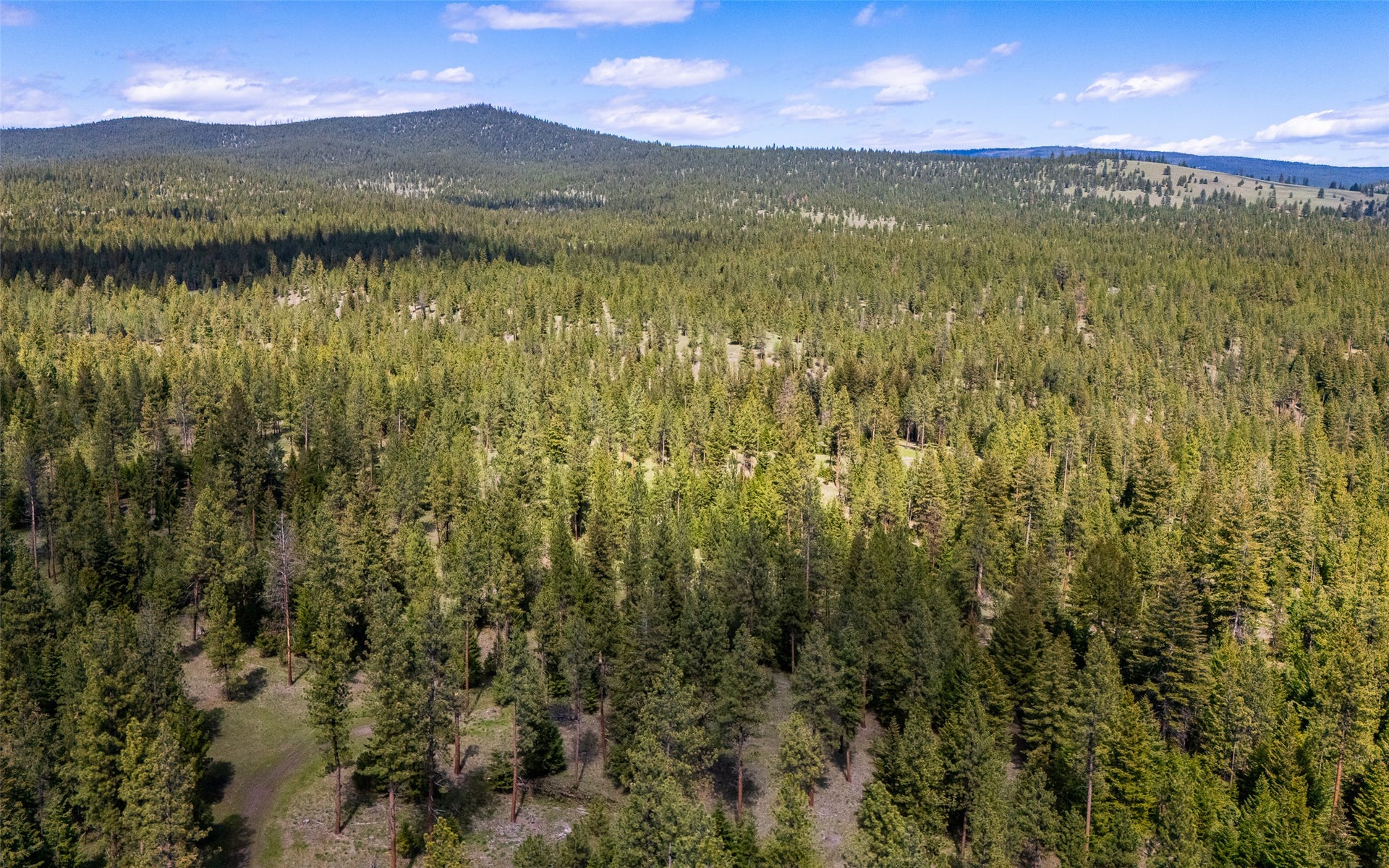3185 Hubbart Dam Road, Marion, MT 59925 3185 Hubbart Dam Road, Marion, MT 59925