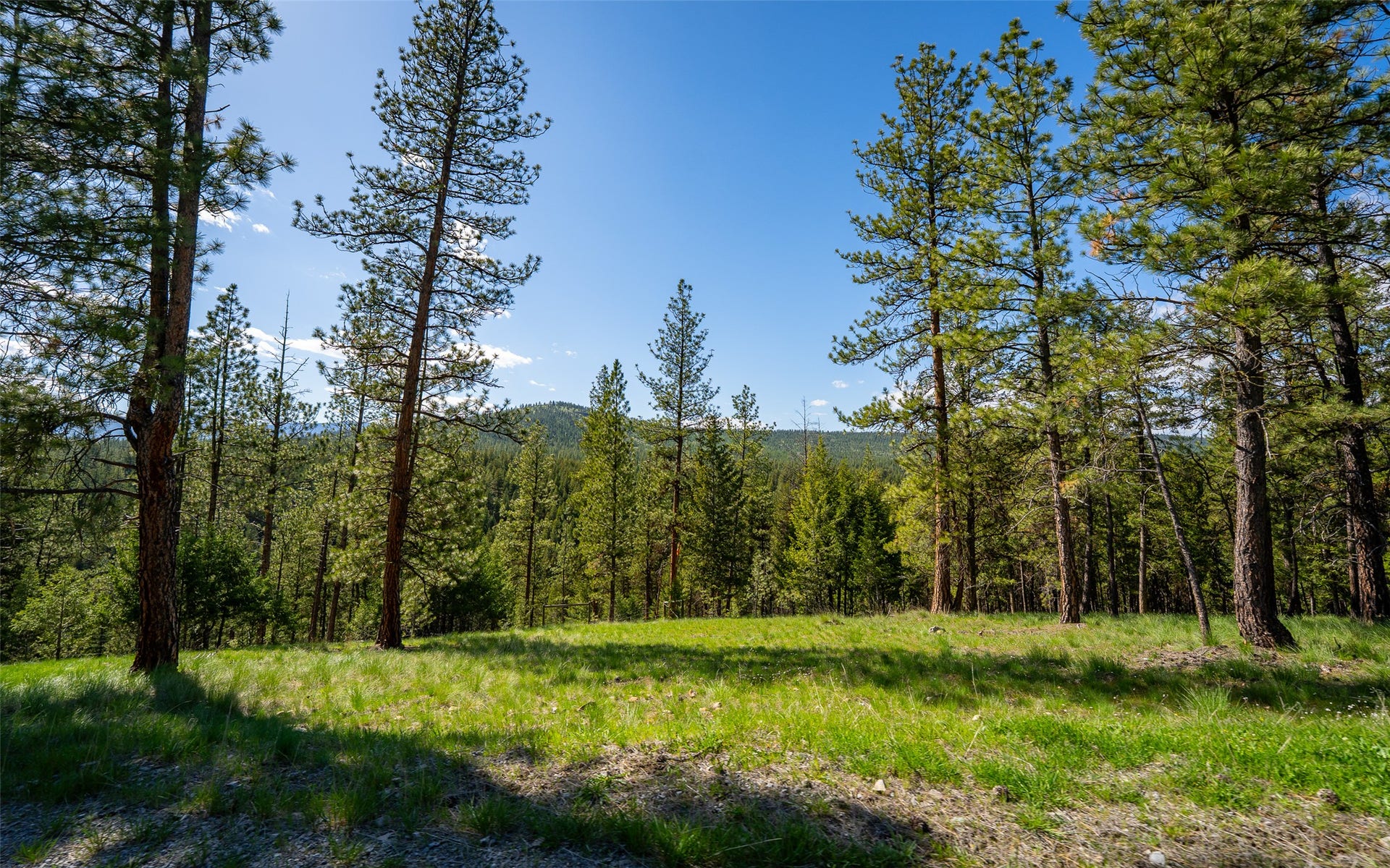 3185 Hubbart Dam Road, Marion, MT 59925 3185 Hubbart Dam Road, Marion, MT 59925