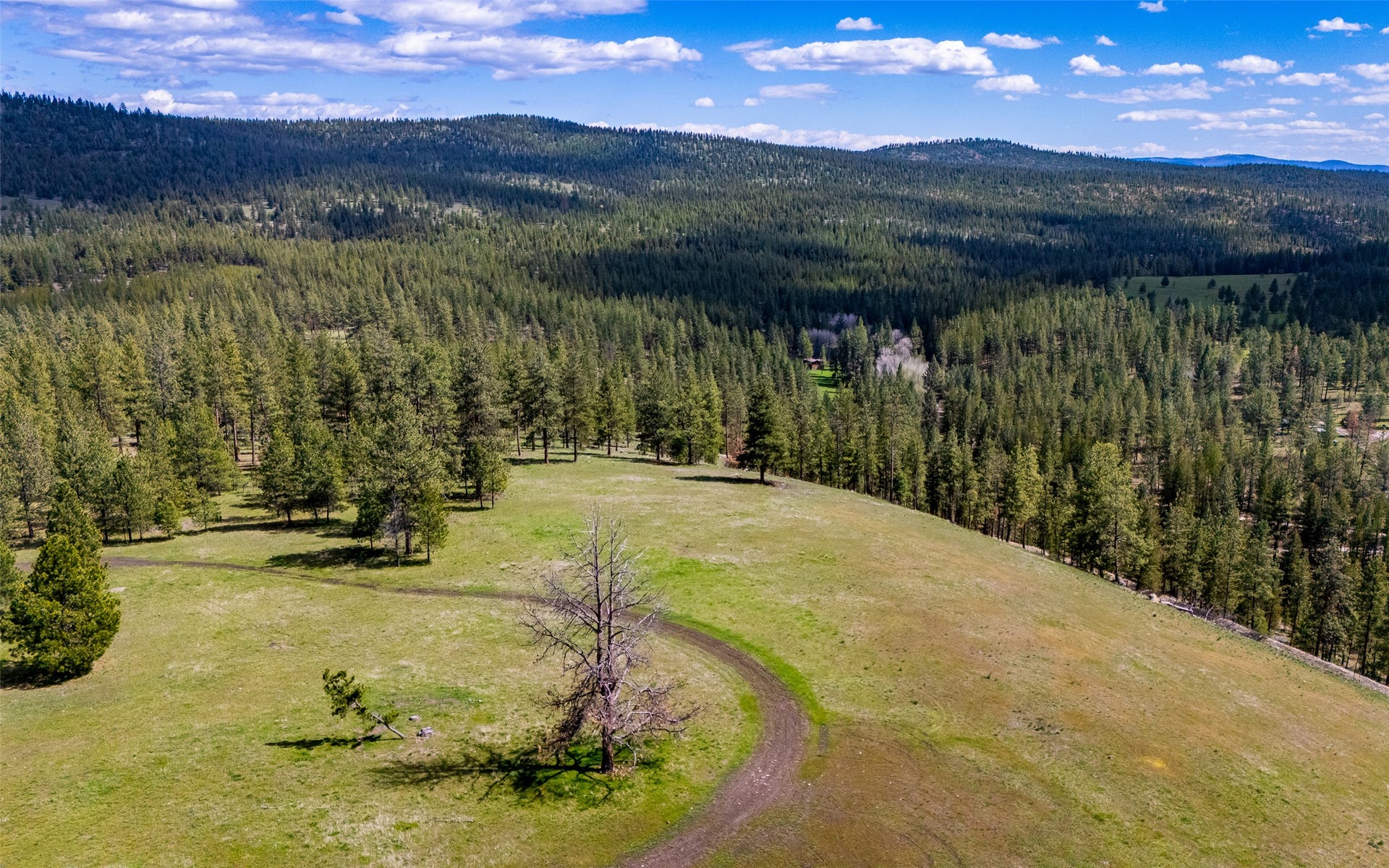 3605 Hubbart Dam Road, Marion, MT 59925 3605 Hubbart Dam Road, Marion, MT 59925