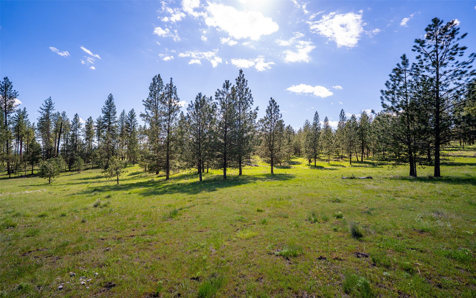 3605 Hubbart Dam Road, Marion, MT 59925 3605 Hubbart Dam Road, Marion, MT 59925