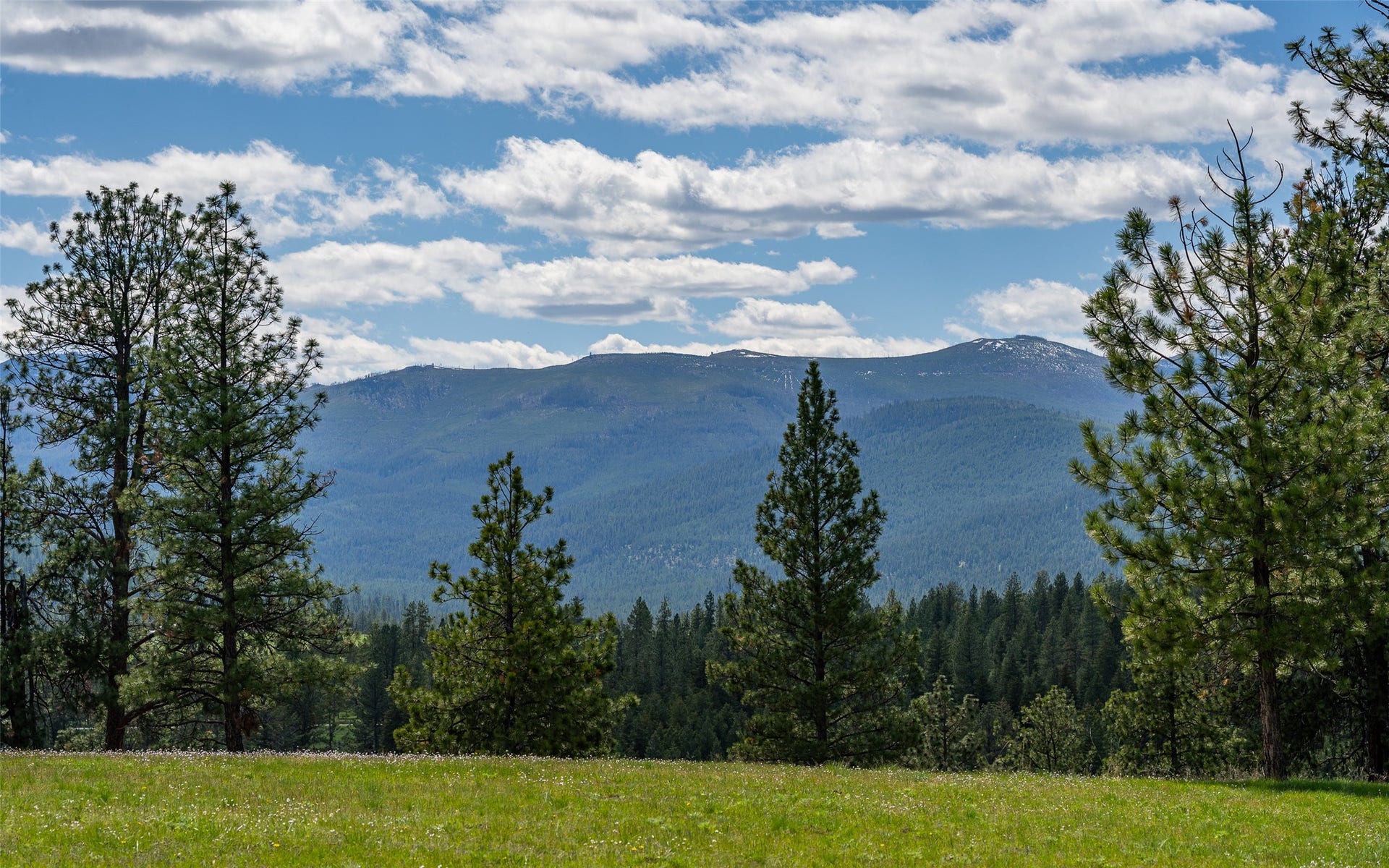 3605 Hubbart Dam Road, Marion, MT 59925 3605 Hubbart Dam Road, Marion, MT 59925