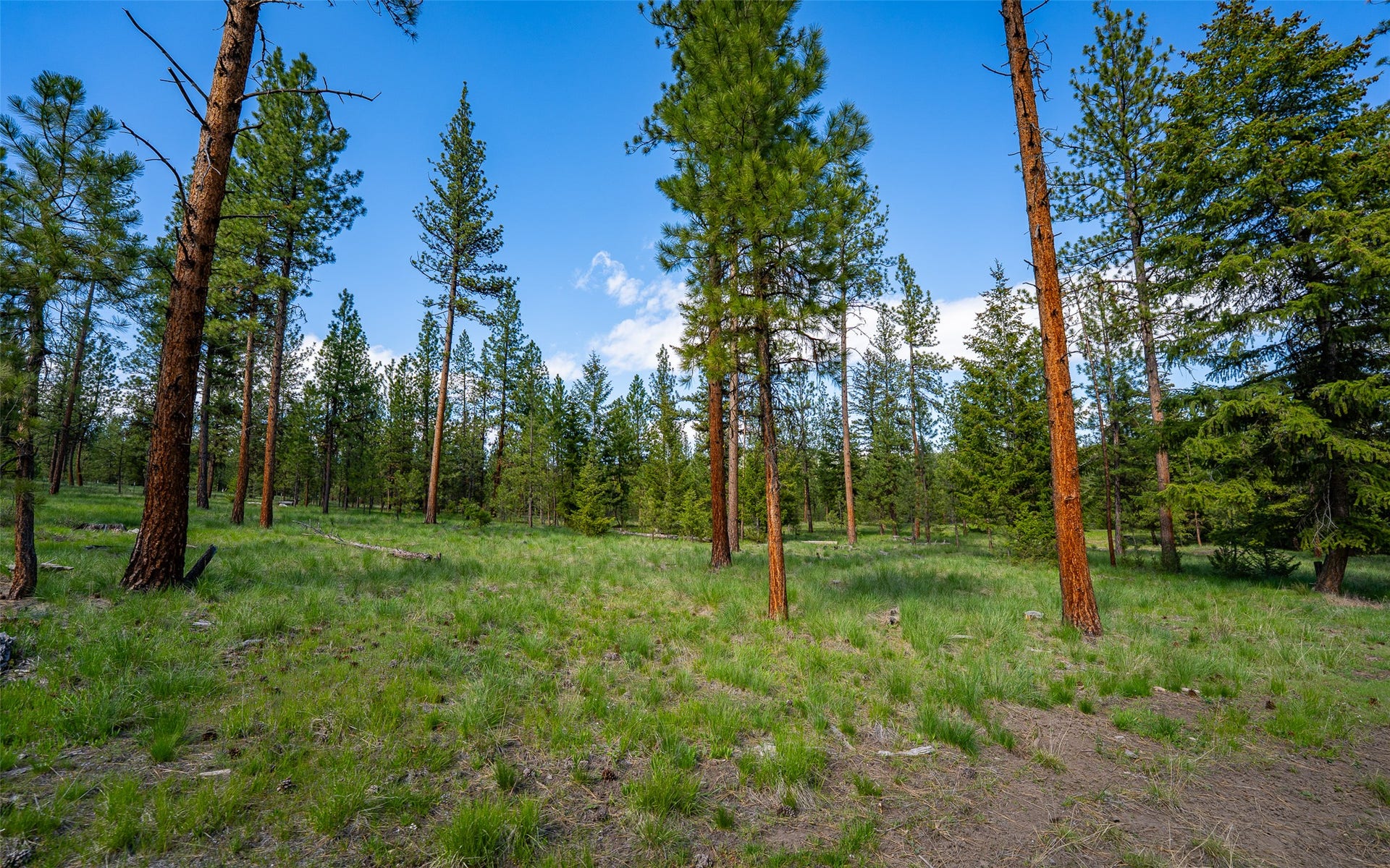 3605 Hubbart Dam Road, Marion, MT 59925 3605 Hubbart Dam Road, Marion, MT 59925