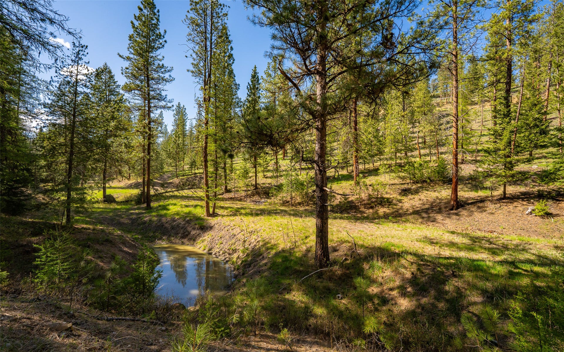 3605 Hubbart Dam Road, Marion, MT 59925 3605 Hubbart Dam Road, Marion, MT 59925