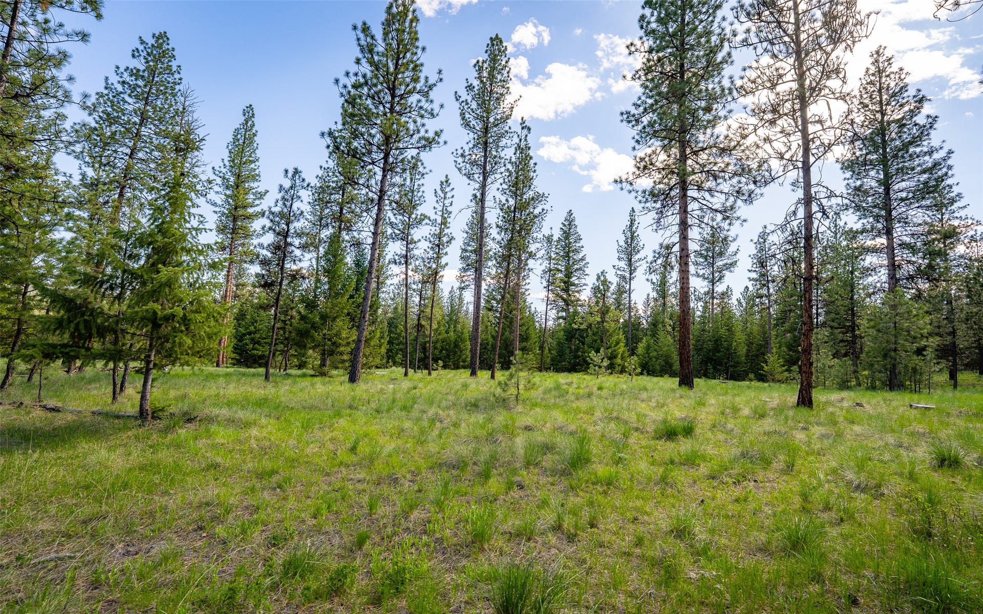 3605 Hubbart Dam Road, Marion, MT 59925 3605 Hubbart Dam Road, Marion, MT 59925