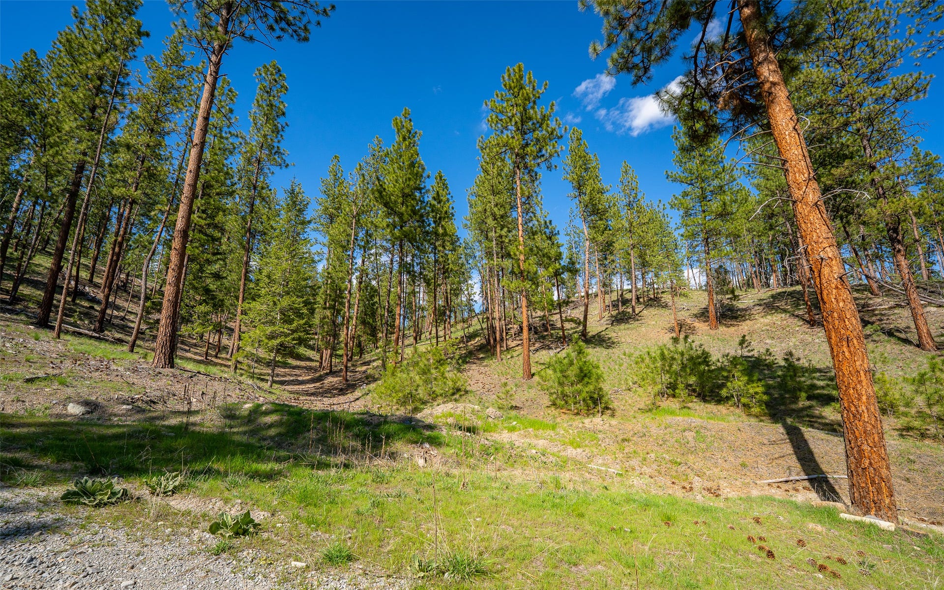 3605 Hubbart Dam Road, Marion, MT 59925 3605 Hubbart Dam Road, Marion, MT 59925
