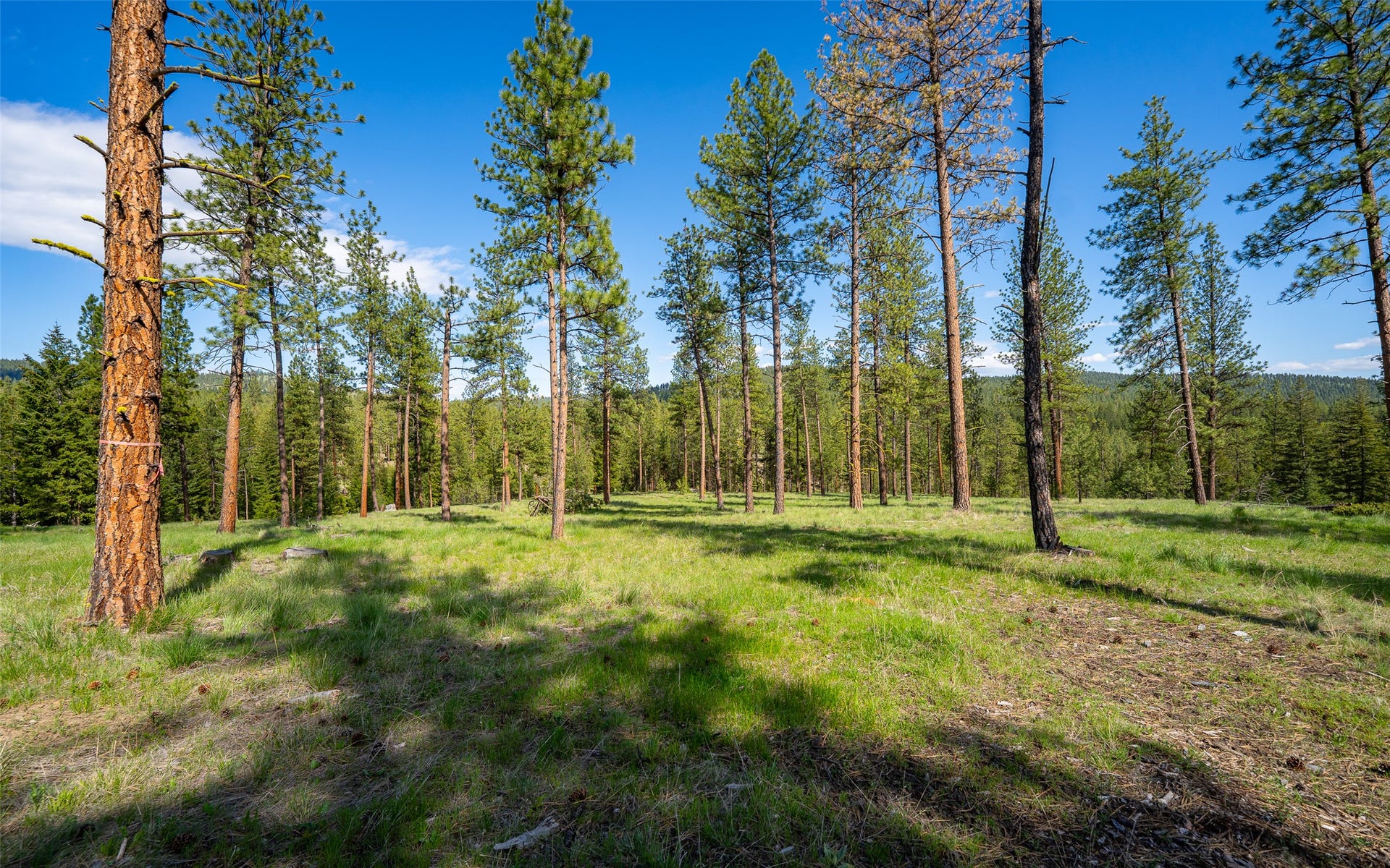 3605 Hubbart Dam Road, Marion, MT 59925 3605 Hubbart Dam Road, Marion, MT 59925