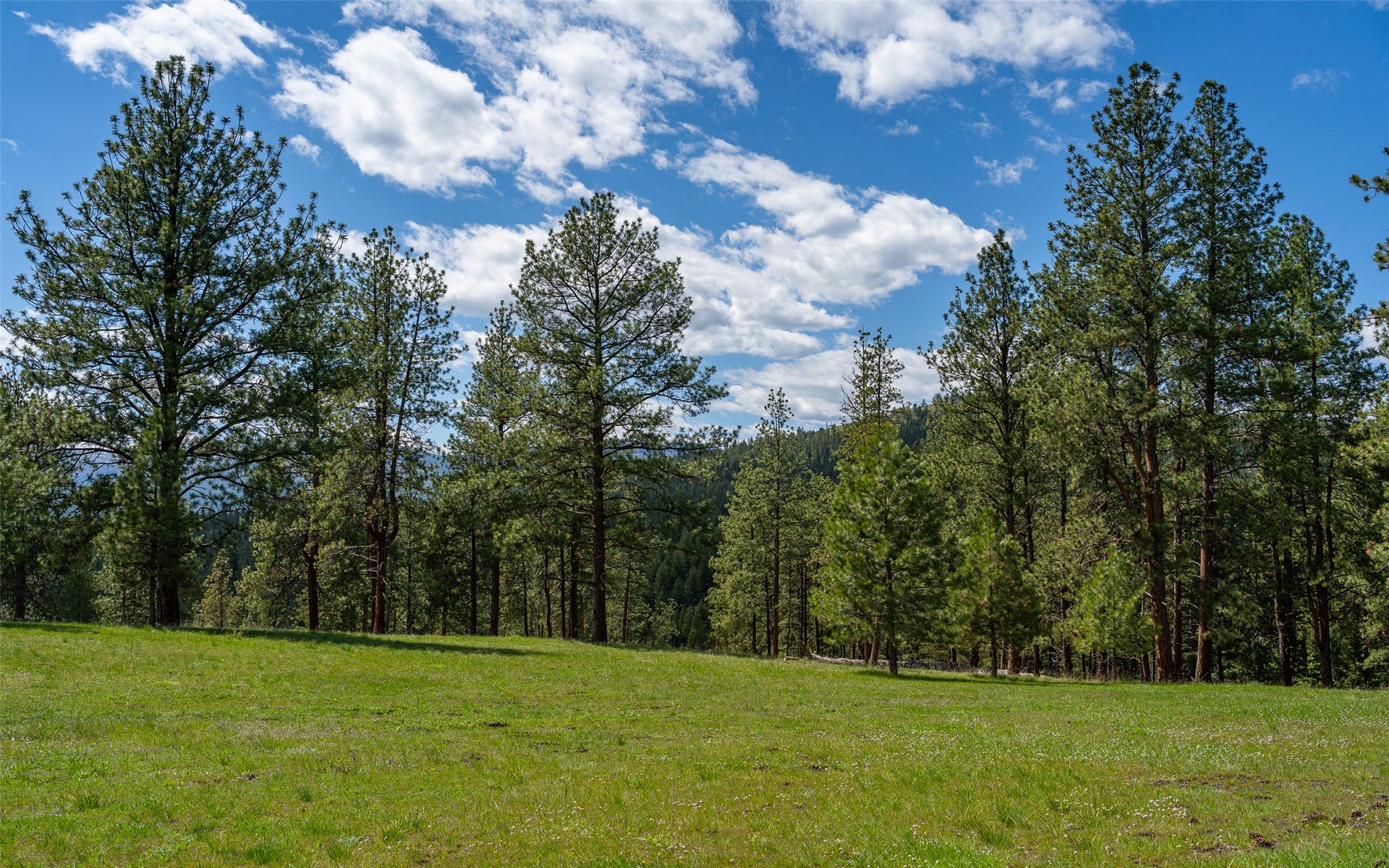 3605 Hubbart Dam Road, Marion, MT 59925 3605 Hubbart Dam Road, Marion, MT 59925