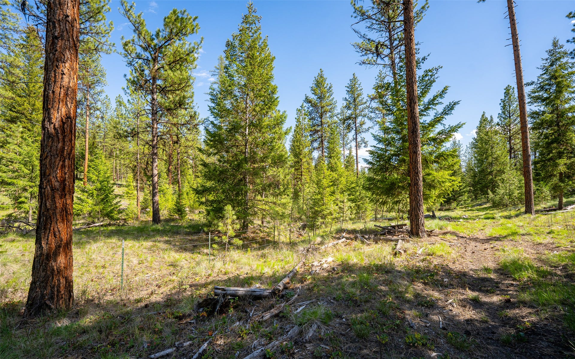 3605 Hubbart Dam Road, Marion, MT 59925 3605 Hubbart Dam Road, Marion, MT 59925
