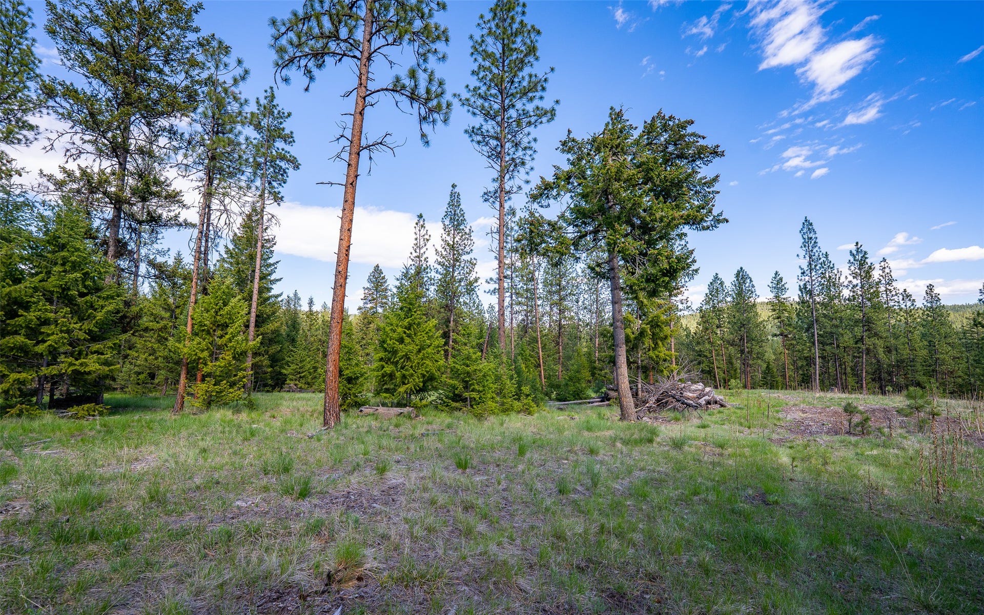 3605 Hubbart Dam Road, Marion, MT 59925 3605 Hubbart Dam Road, Marion, MT 59925