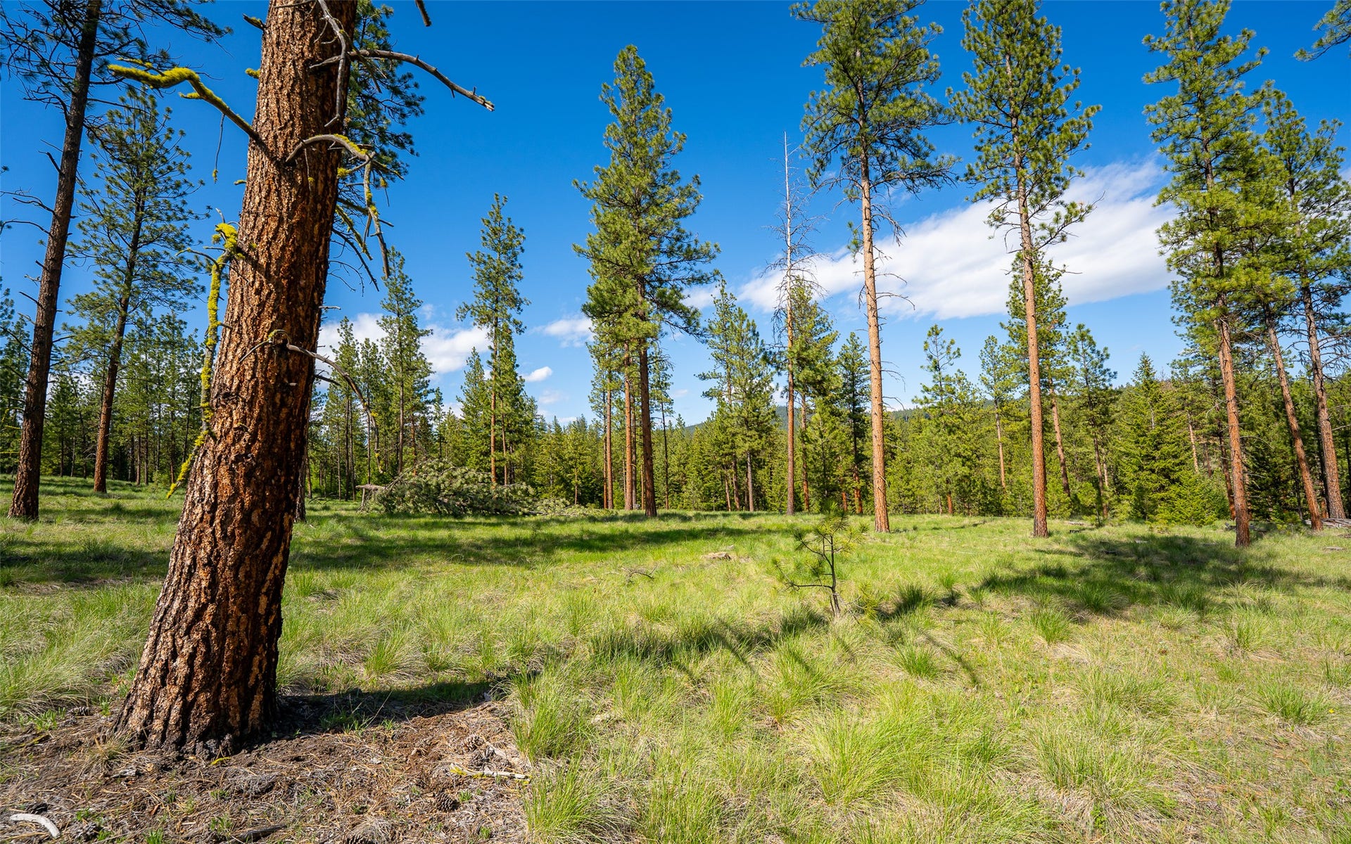 3605 Hubbart Dam Road, Marion, MT 59925 3605 Hubbart Dam Road, Marion, MT 59925